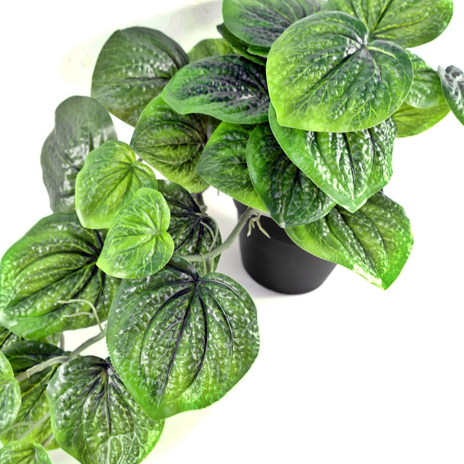Artificial Trailing Green Pothos Plant 35cm - Evergreenery