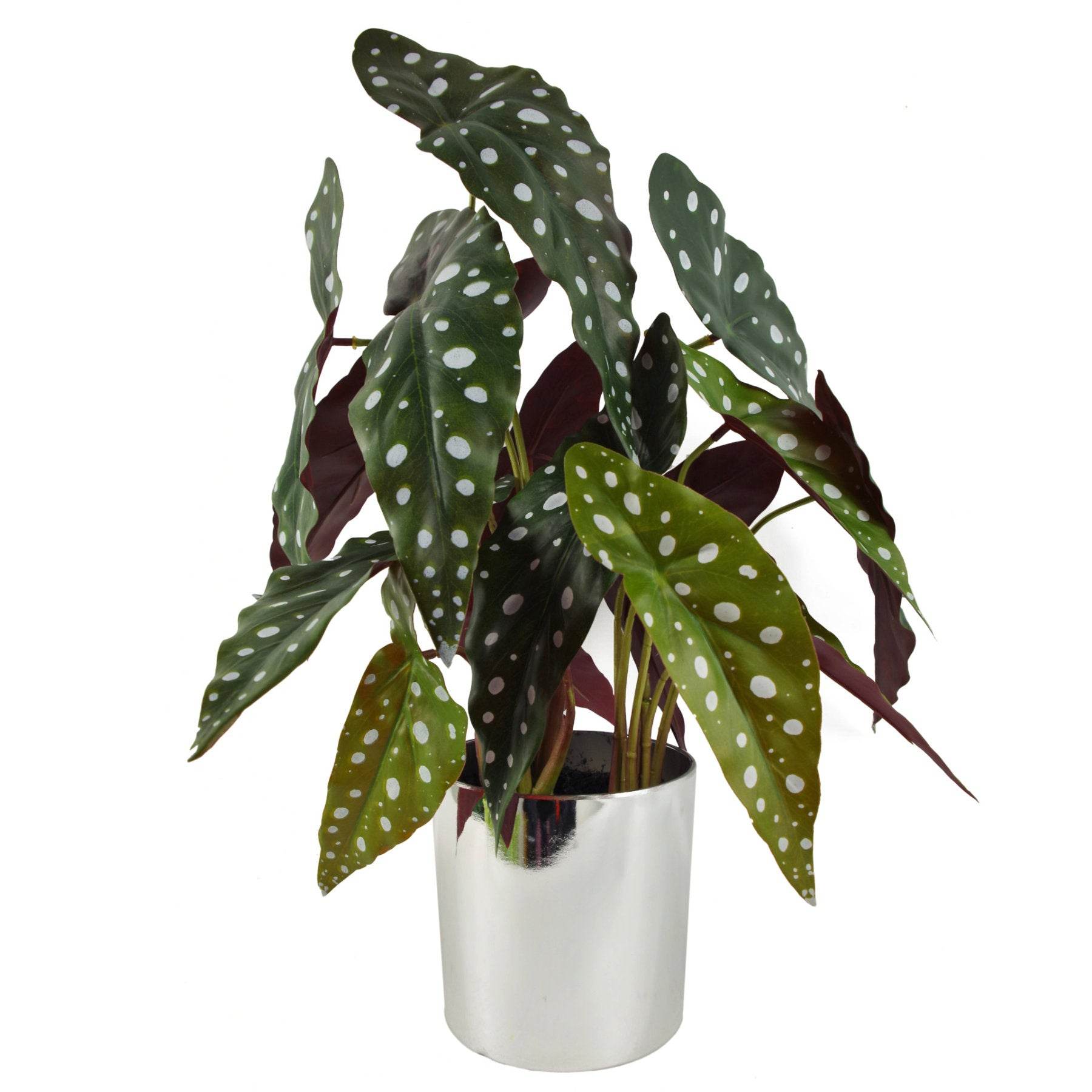 Artificial Begonia Maculata Plant 40cm - Evergreenery