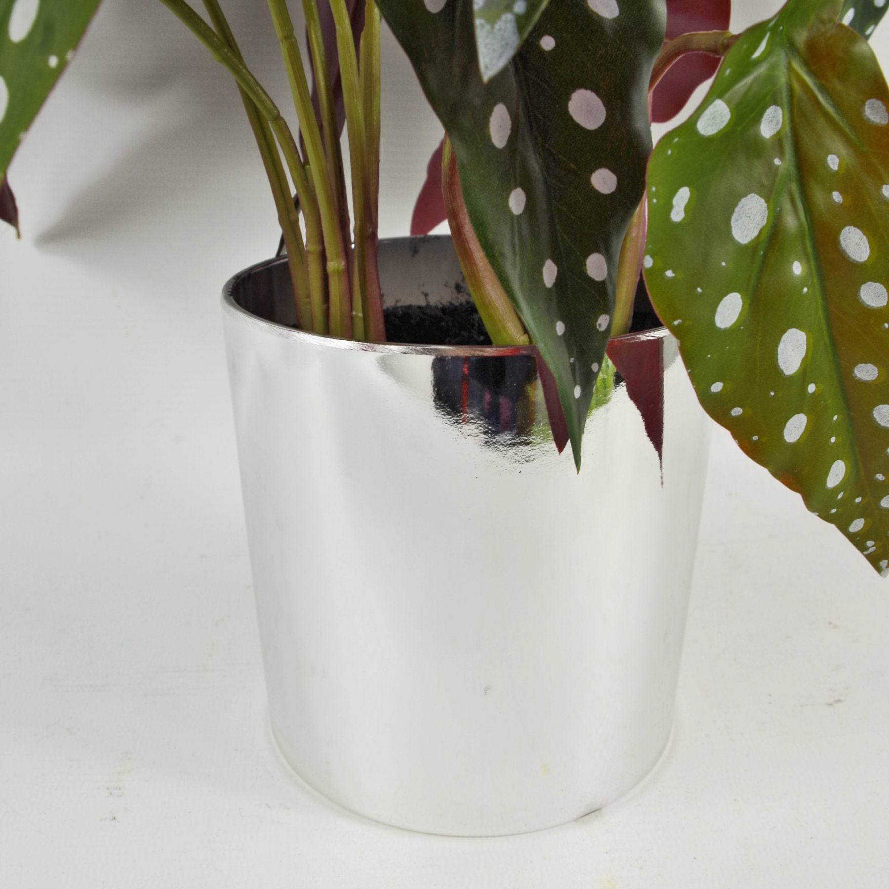 Artificial Begonia Maculata Plant 40cm - Evergreenery