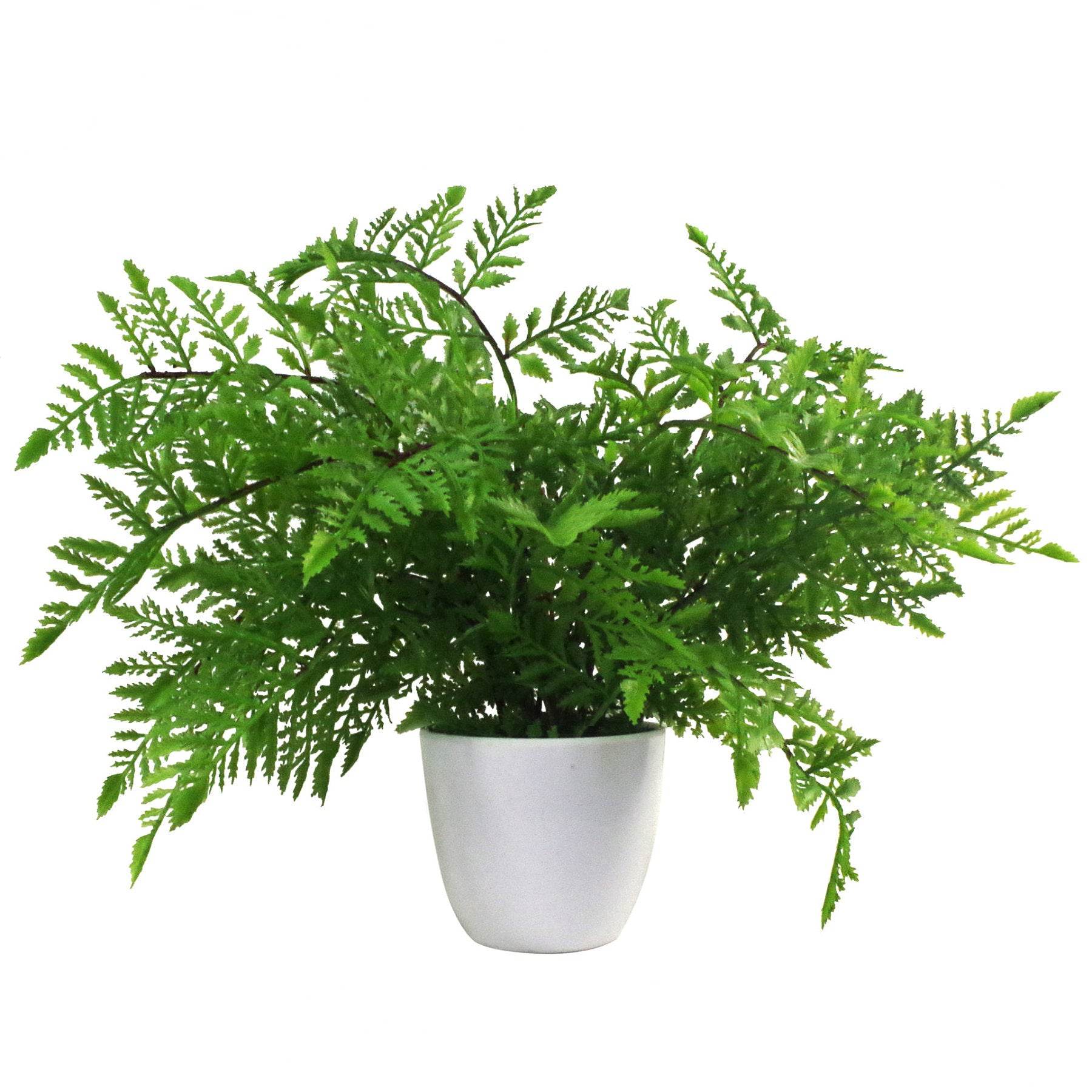 Artificial Southern Wood Fern Potted Plant 30cm - Evergreenery
