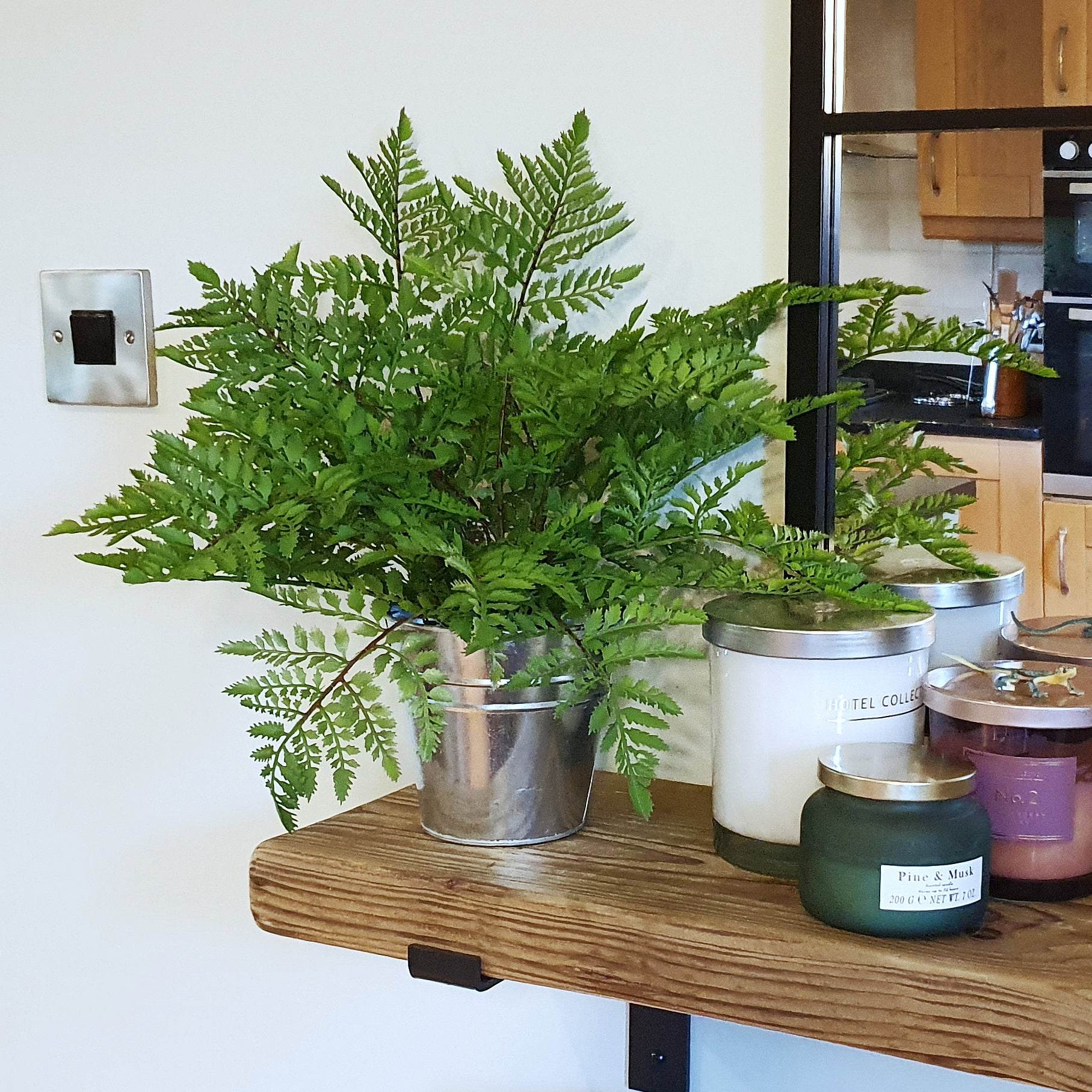 Artificial Southern Wood Fern Potted Plant 30cm - Evergreenery