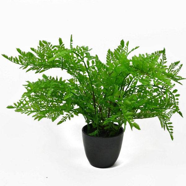 Artificial Southern Wood Fern Potted Plant 30cm - Evergreenery