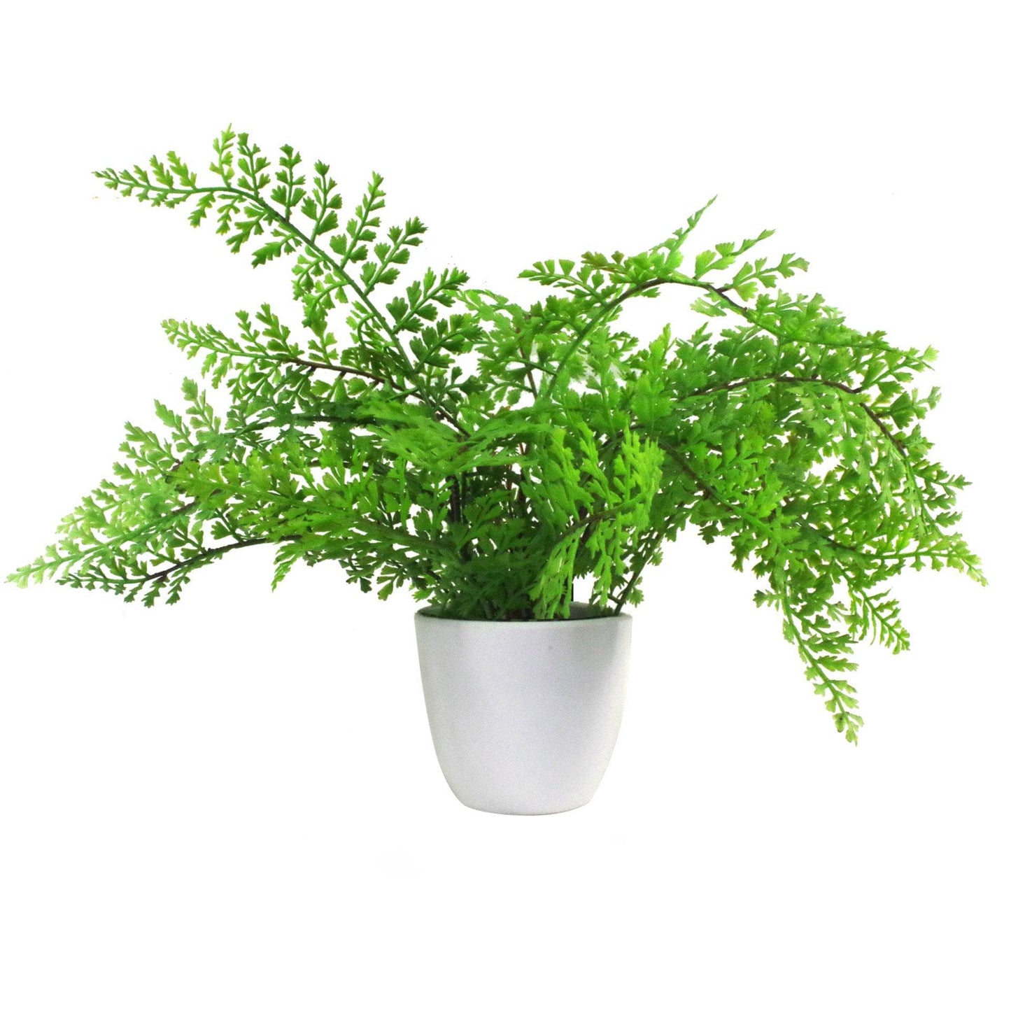Artificial Royal Fern Potted Plant 30cm - Evergreenery
