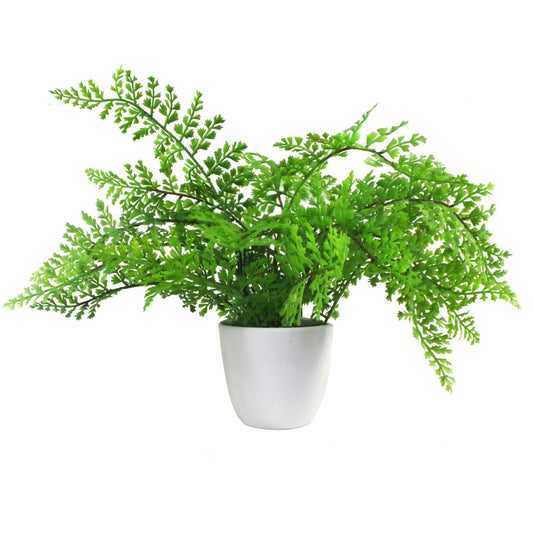 Artificial Royal Fern Potted Plant 30cm - Evergreenery