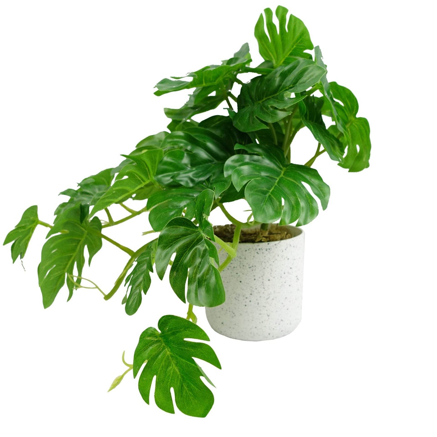Artificial Potted Monstera Trailing Plant 30cm - Evergreenery
