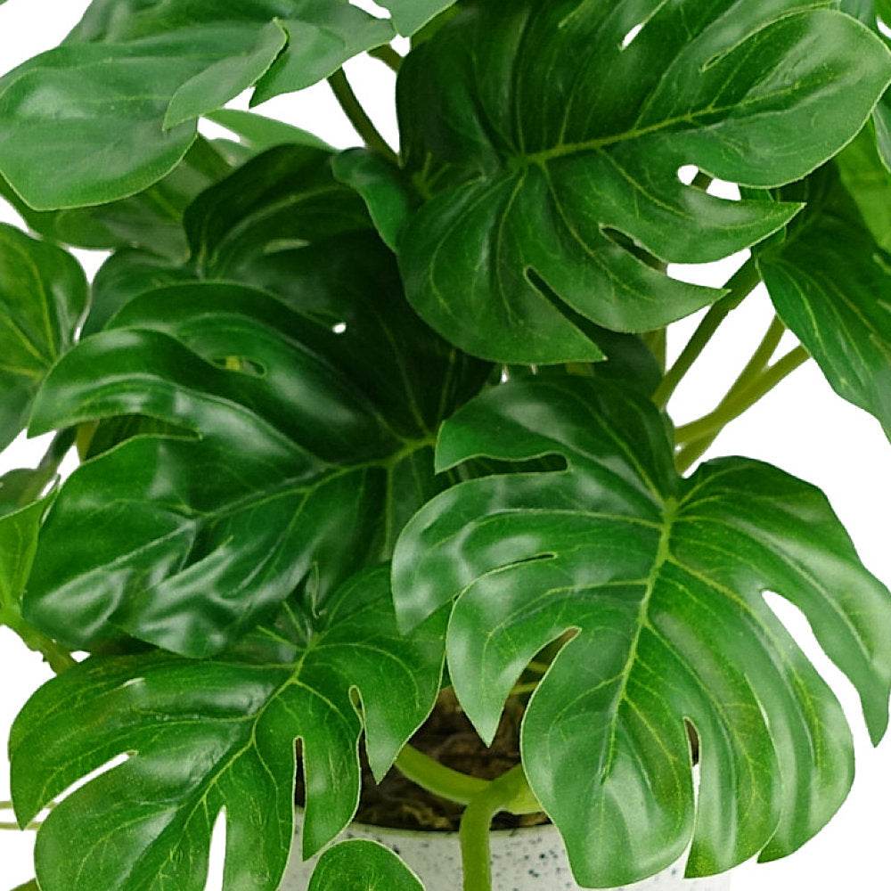 Artificial Potted Monstera Trailing Plant 30cm - Evergreenery