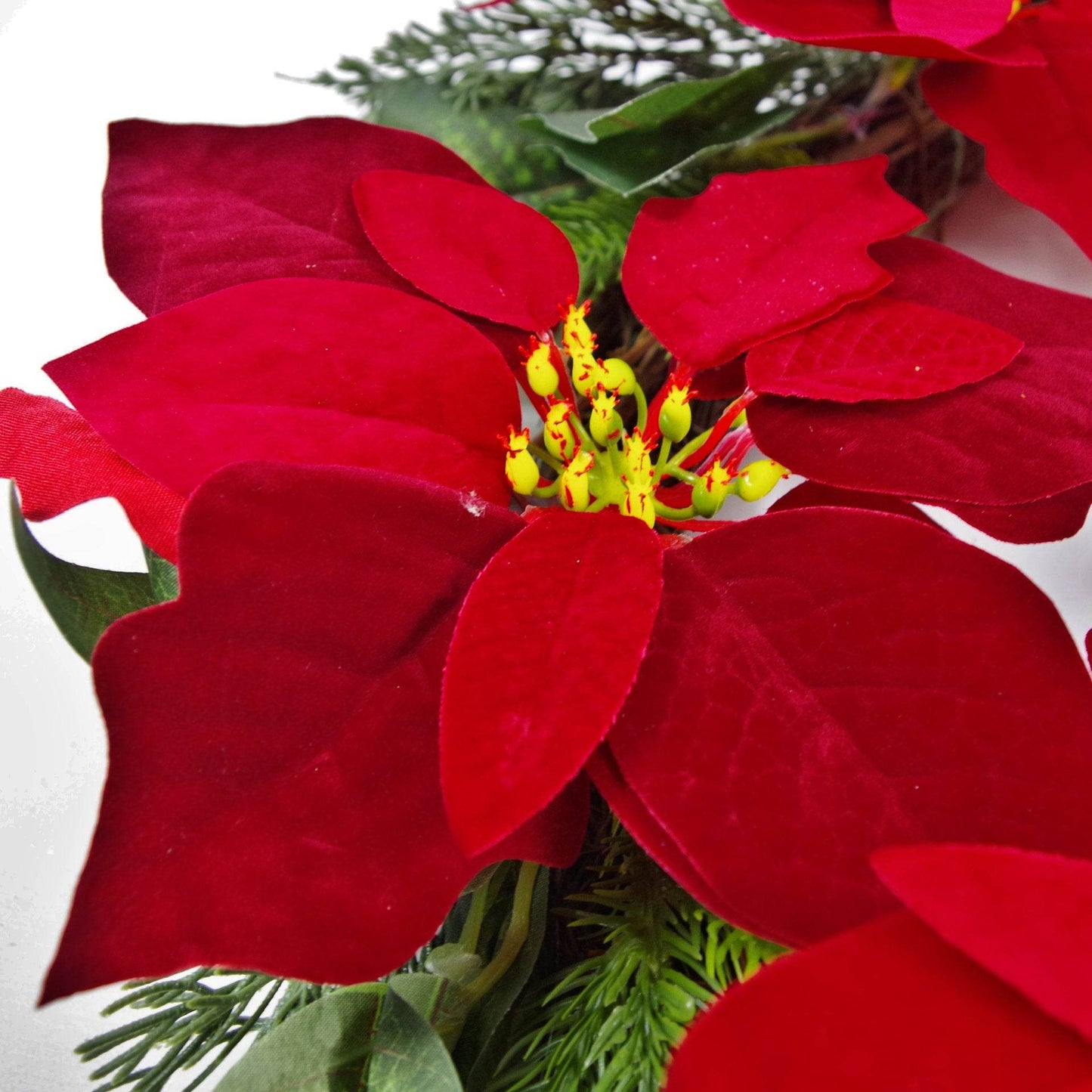 Large Poinsettia Christmas Wreath 60cm - Evergreenery