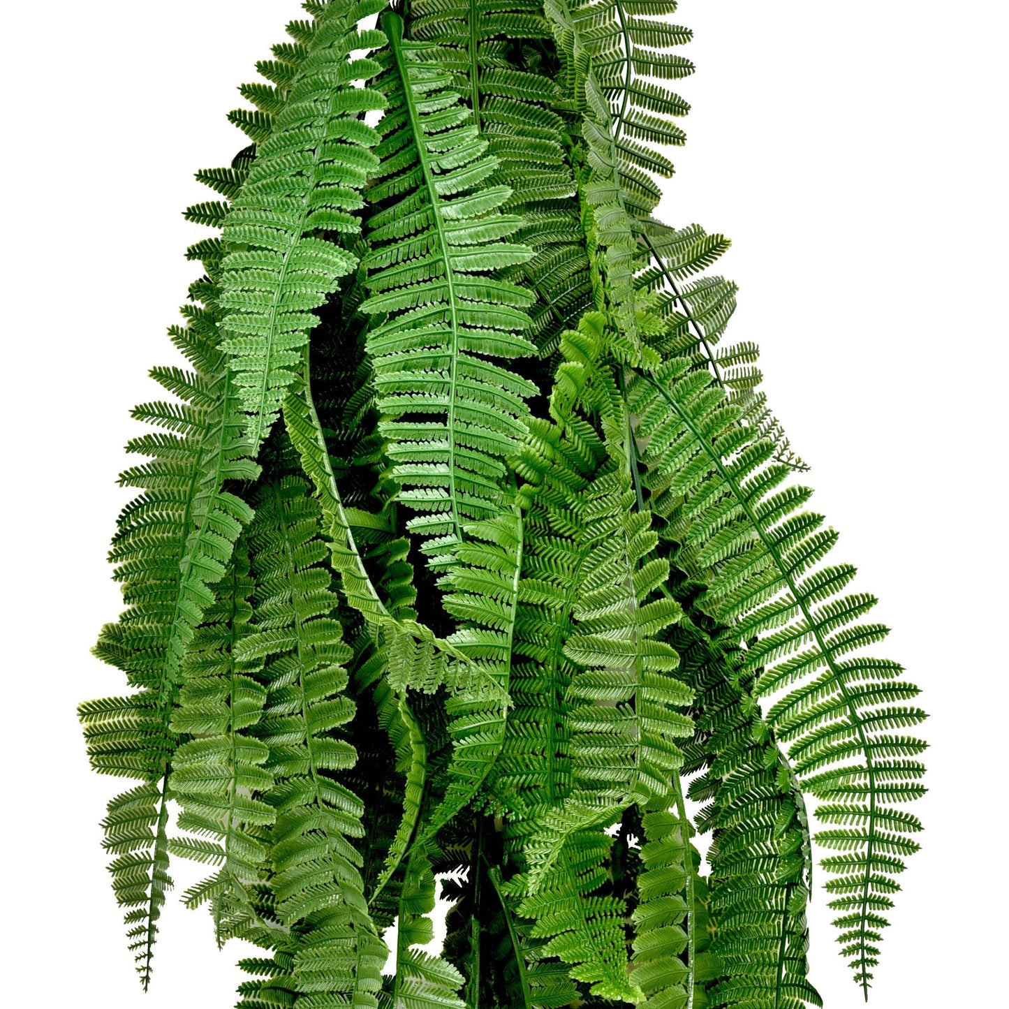 Artificial Persian Fern Hanging Vine 75cm - Evergreenery