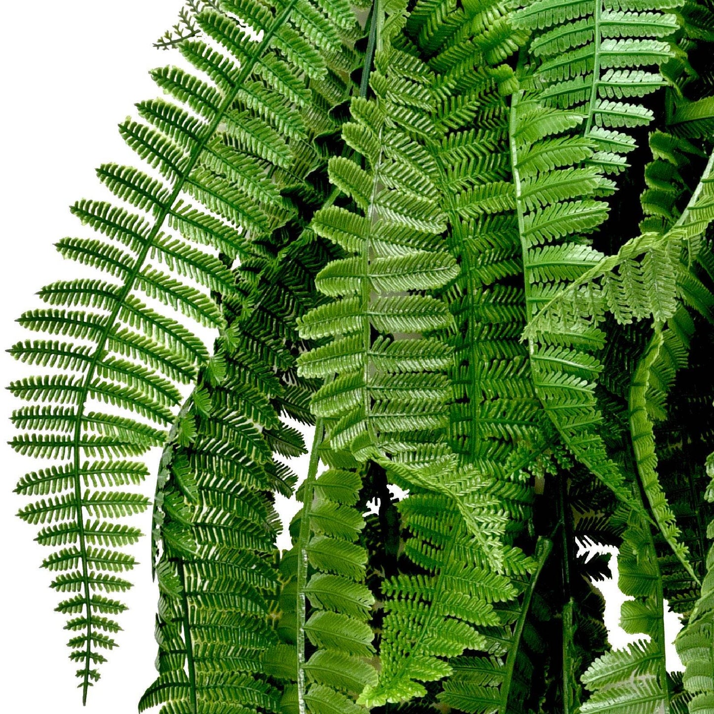 Artificial Persian Fern Hanging Vine 75cm - Evergreenery