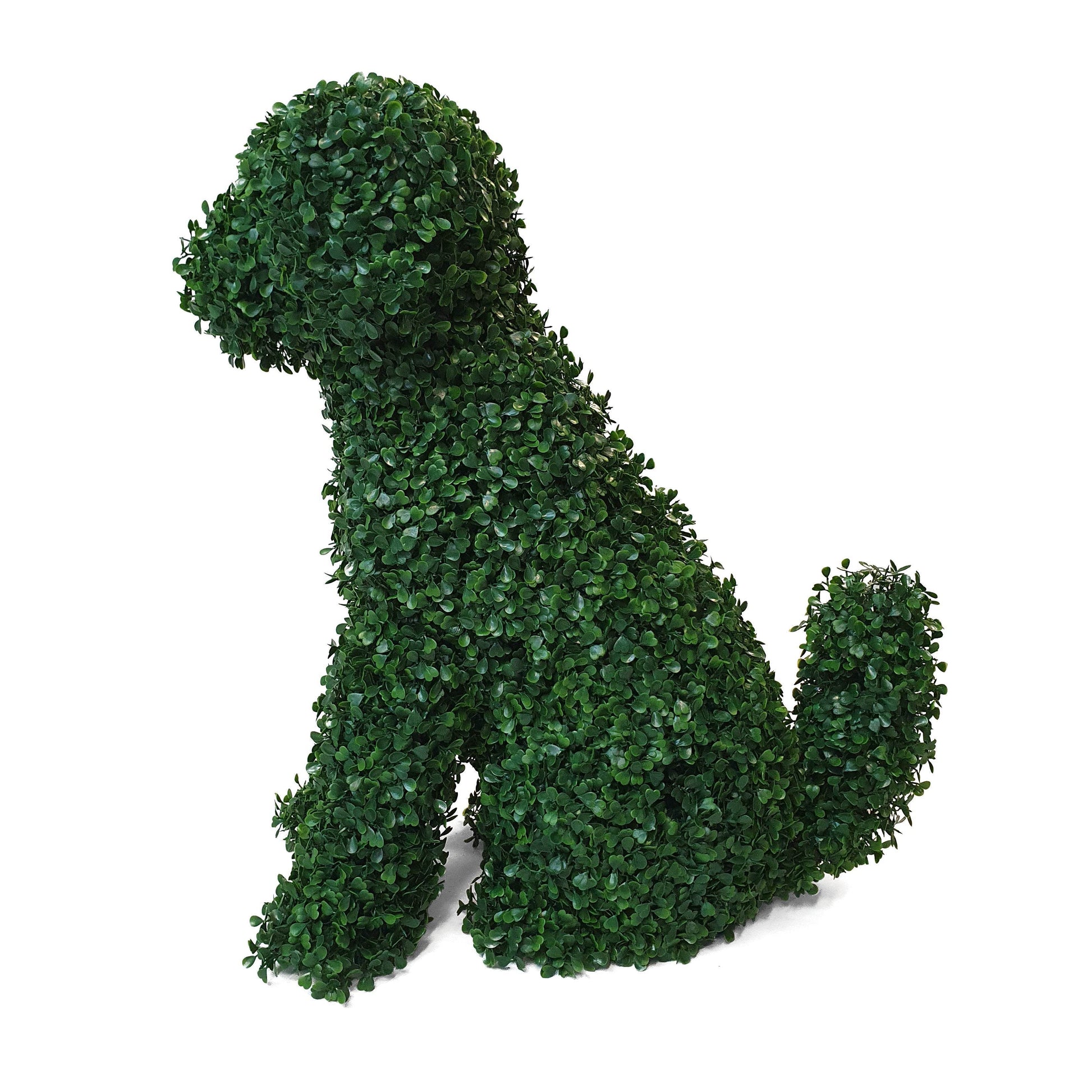 Topiary Dog Artificial Boxwood 60cm - Evergreenery