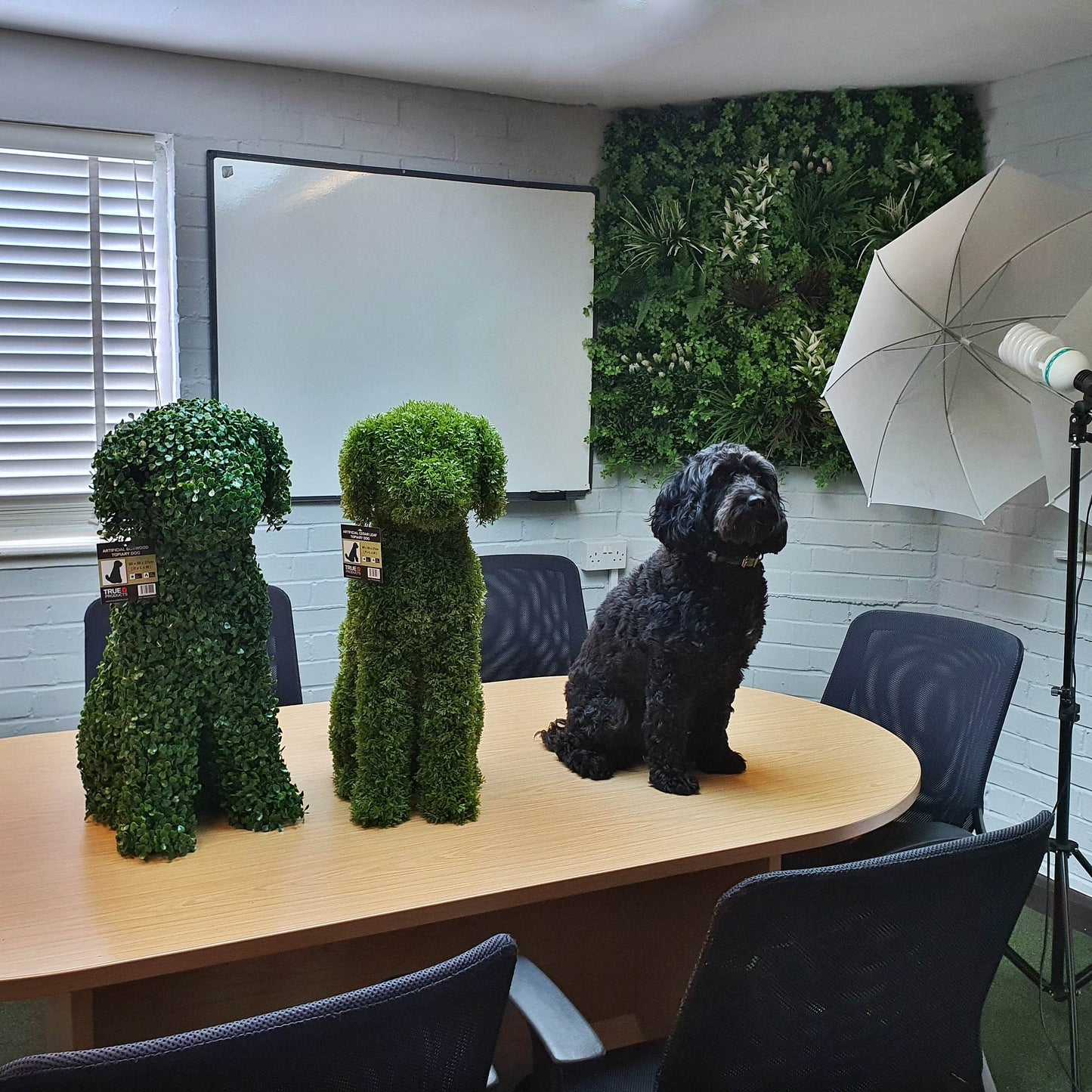 Topiary Dog Artificial Cedar Leaf 60cm - Evergreenery