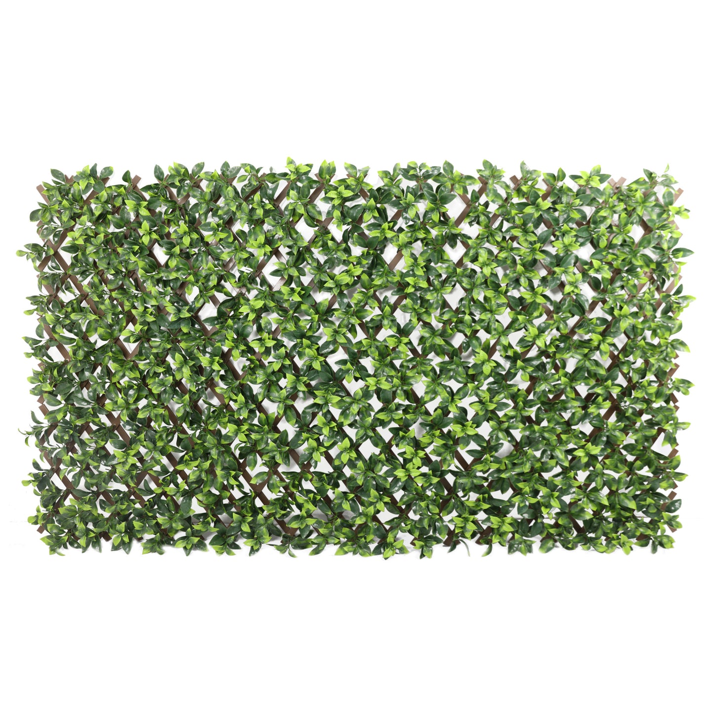 Premium Expanding Trellis Artificial Gardenia Leaf - 1m x 2m