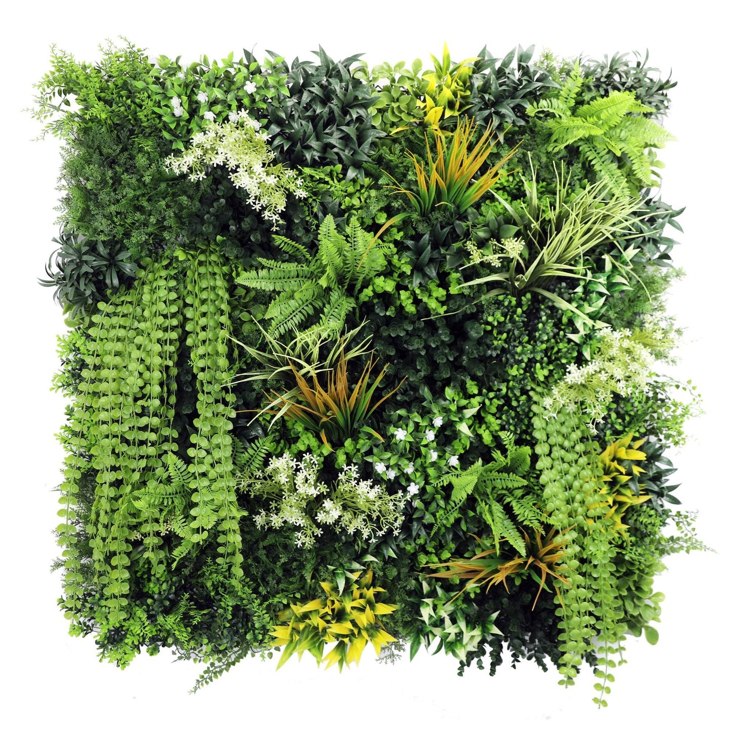 Premium Artificial Plants Green Wall Panel 1m x 1m - Amazon - Evergreenery