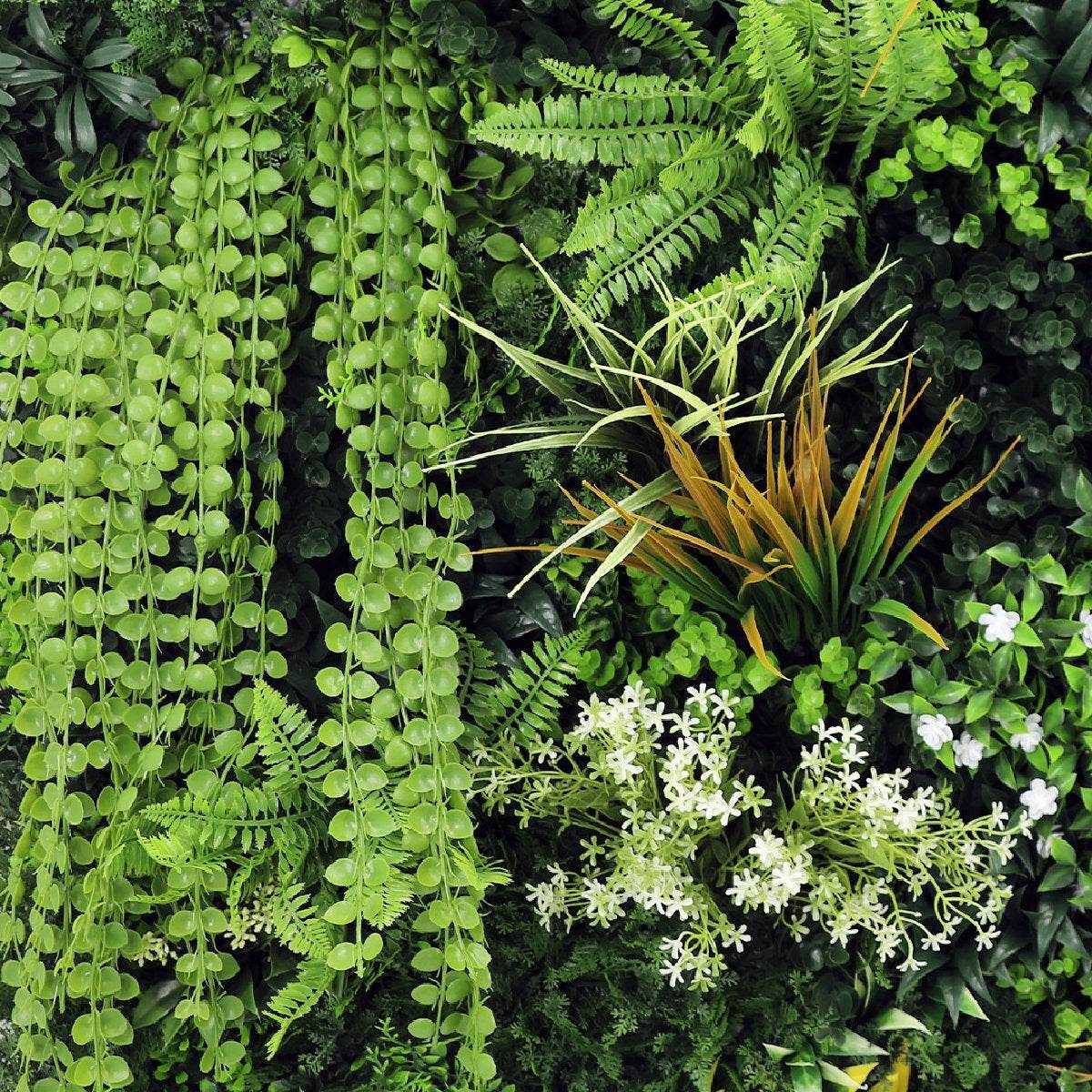 Premium Artificial Plants Green Wall Panel 1m x 1m - Amazon - Evergreenery