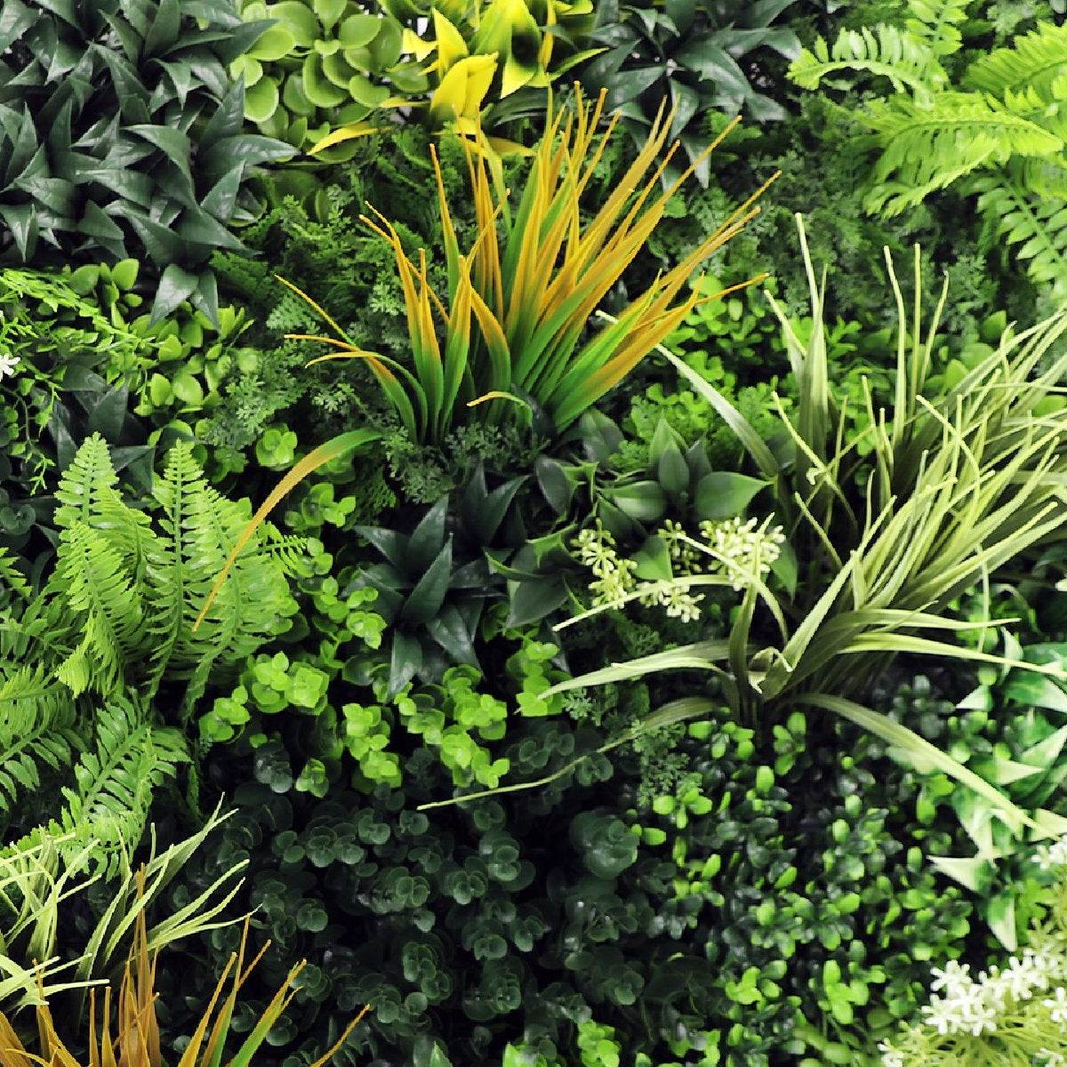 Premium Artificial Plants Green Wall Panel 1m x 1m - Amazon - Evergreenery