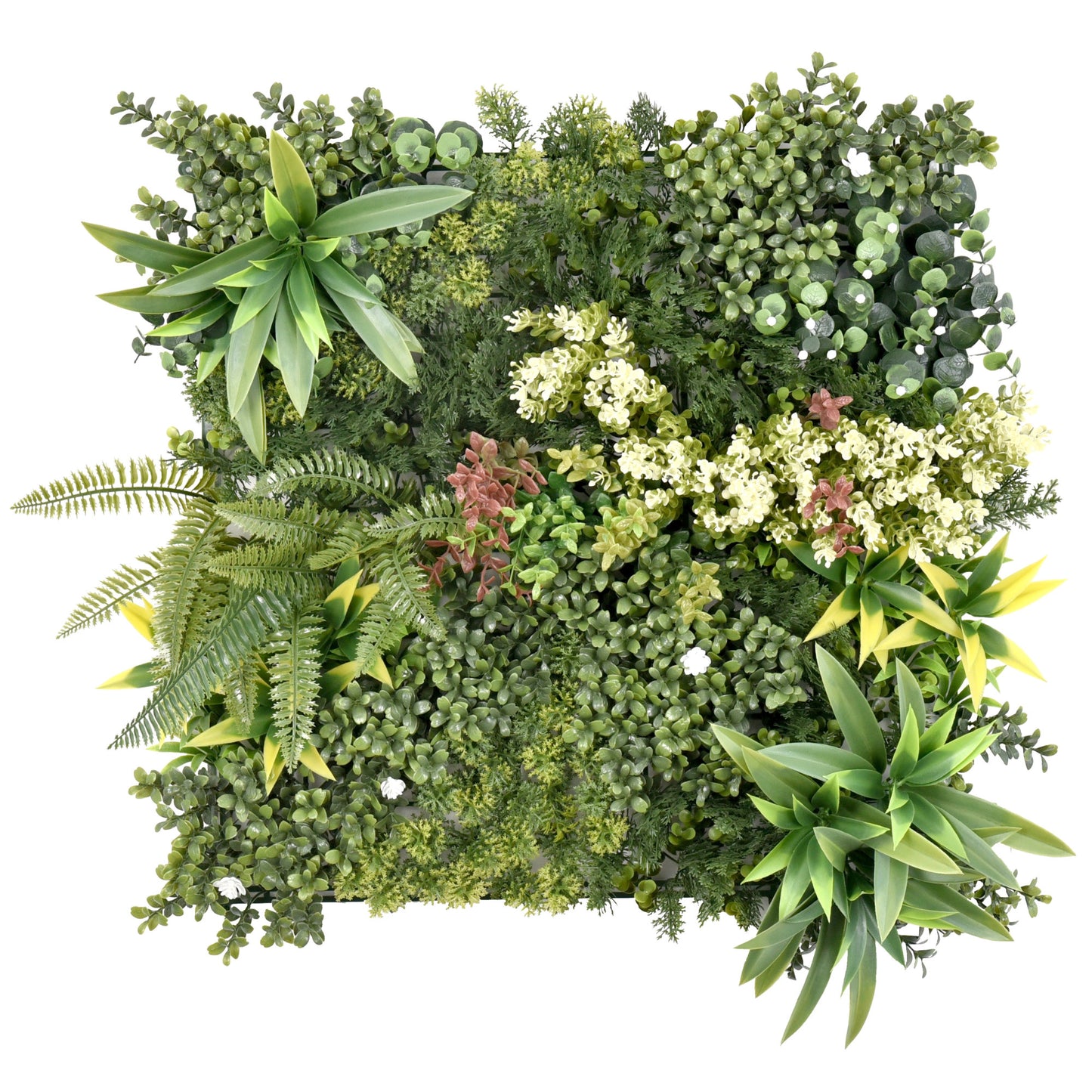 Aurora A Premium Artificial Green Wall Panel 50cm x 50cm