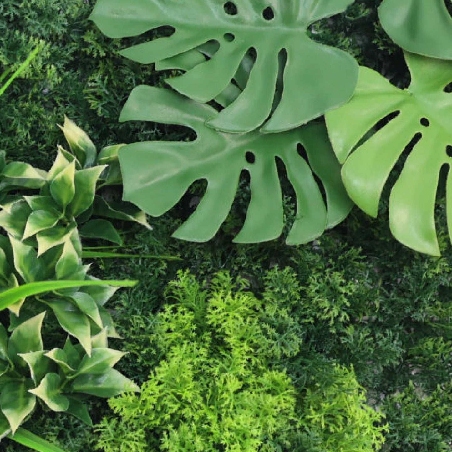 Premium Artificial Plants Green Wall Panel 1m x 50cm - Oasis