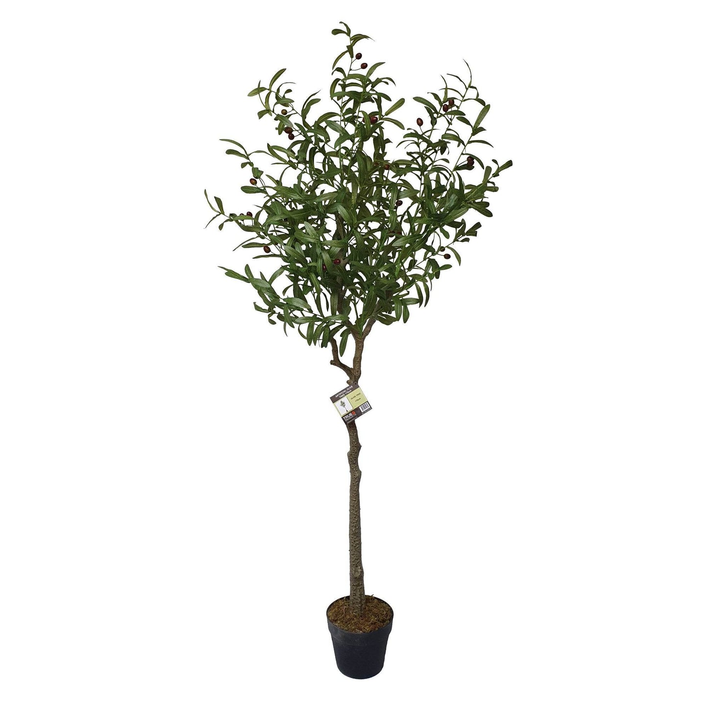 Artificial Olive Tree Tree 170cm - Lifelike Elegance for Any Space - Evergreenery