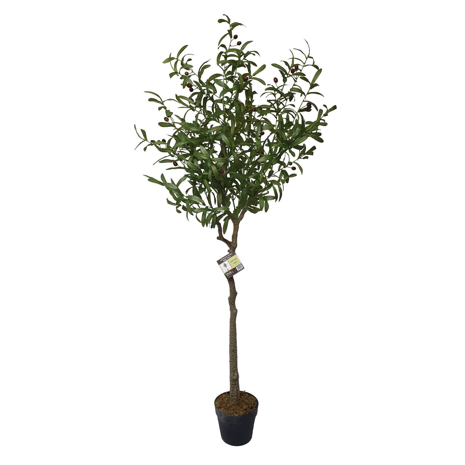 Artificial Olive Tree Tree 170cm - Lifelike Elegance for Any Space - Evergreenery