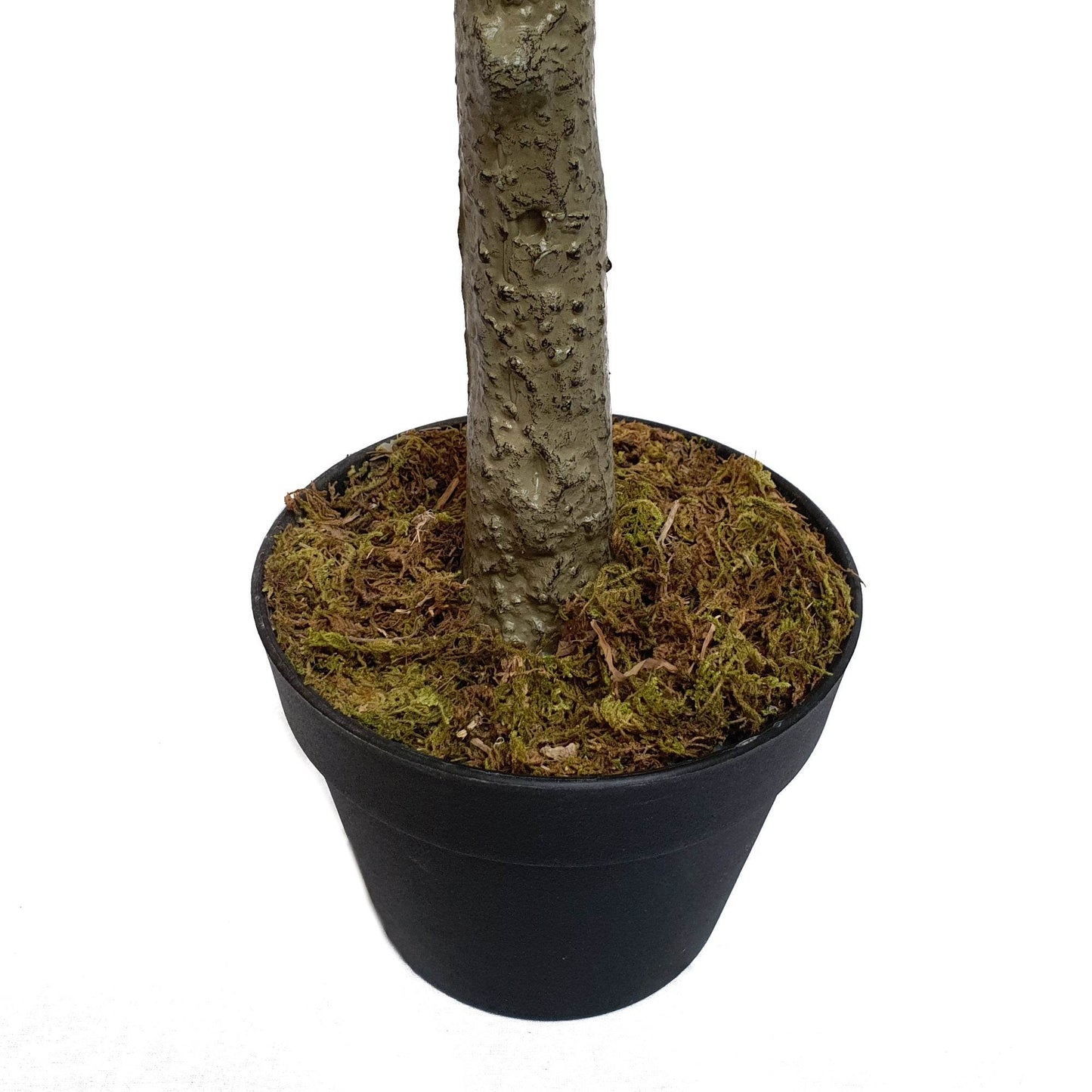 Artificial Olive Tree Tree 170cm - Lifelike Elegance for Any Space - Evergreenery