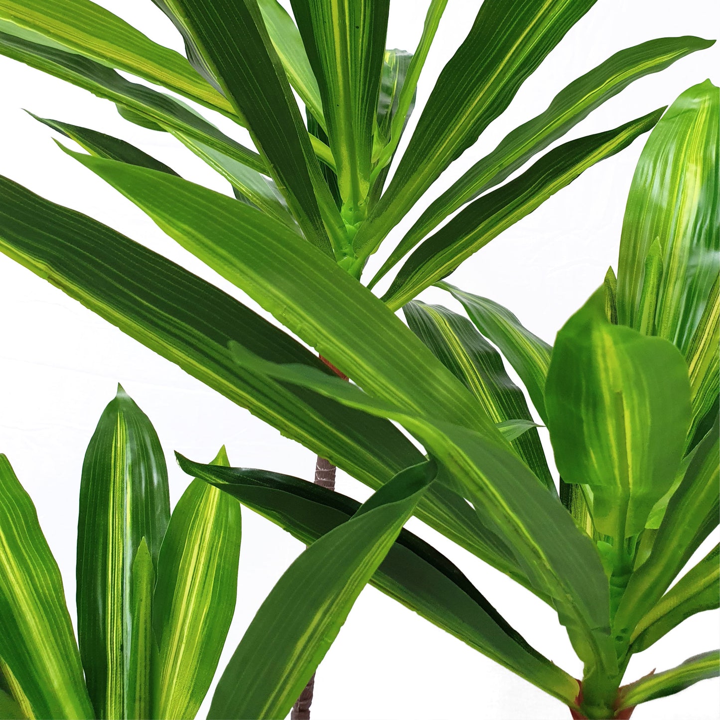 Artificial Dracaena Fragrans Dragon Tree – 100cm