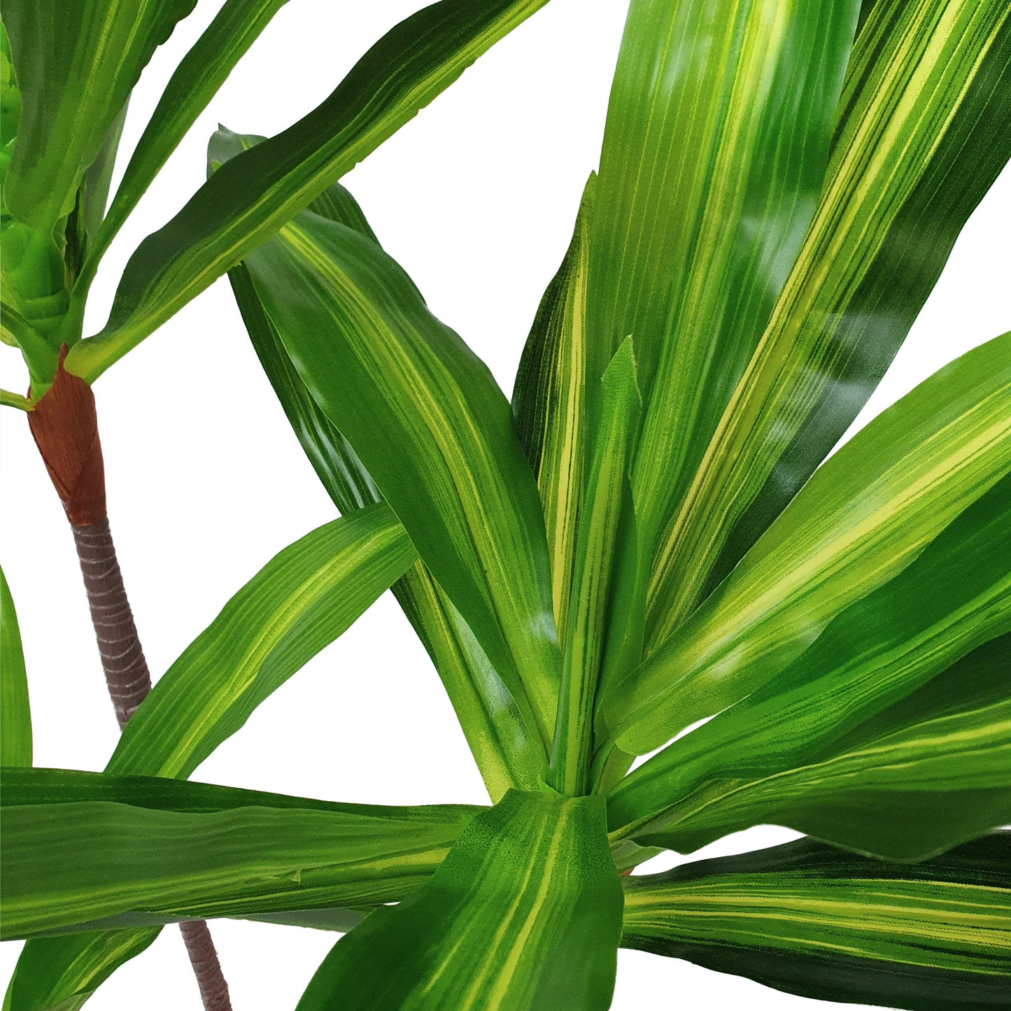 Artificial Dracaena Fragrans Dragon Tree – 100cm