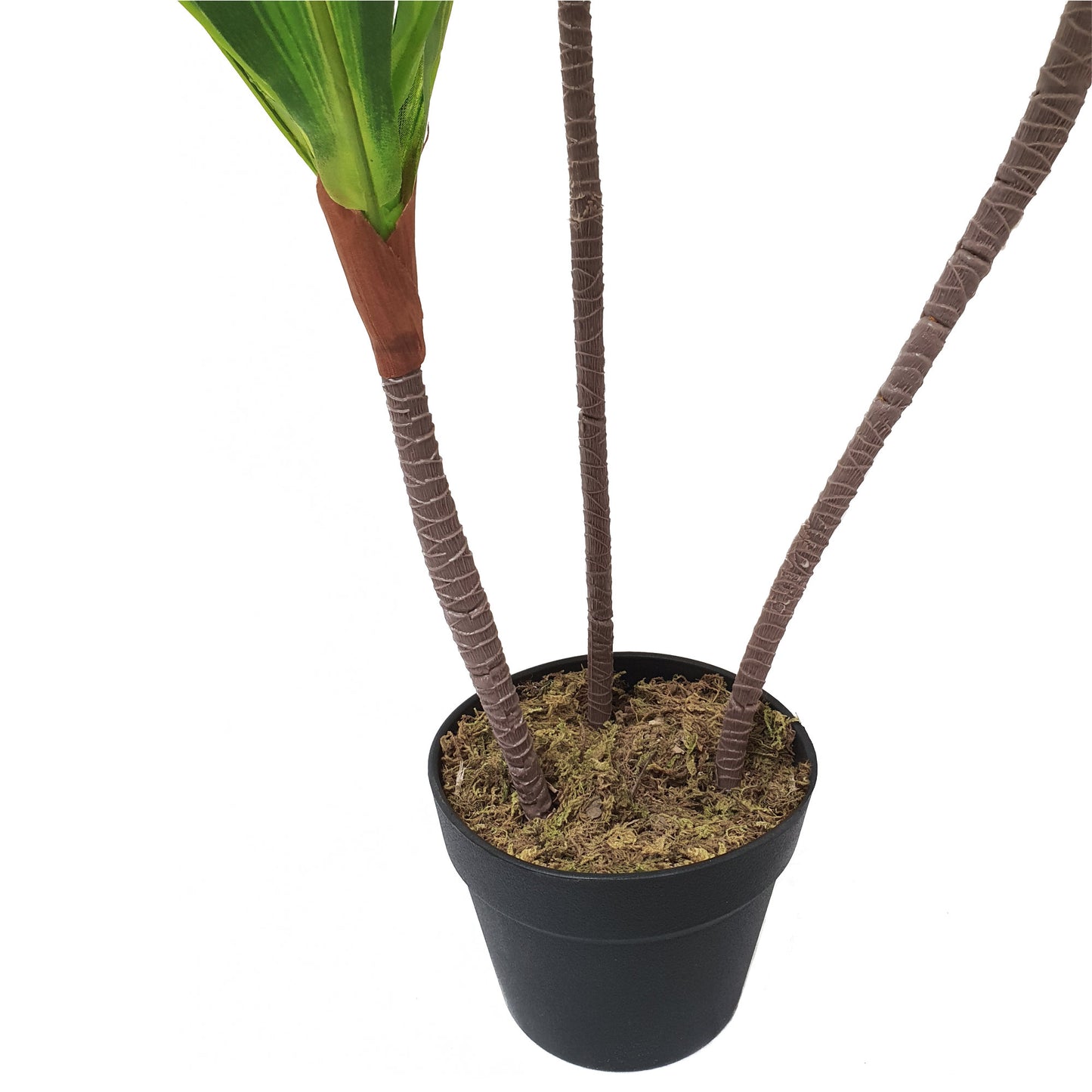 Artificial Dracaena Fragrans Dragon Tree – 100cm