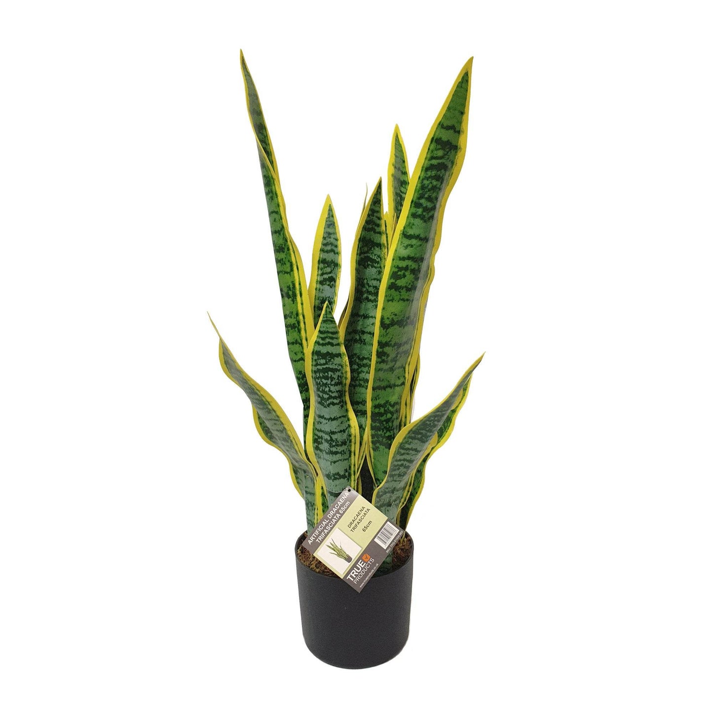 Artificial Dracaena Trifasciata Snake Plant 65cm - Evergreenery