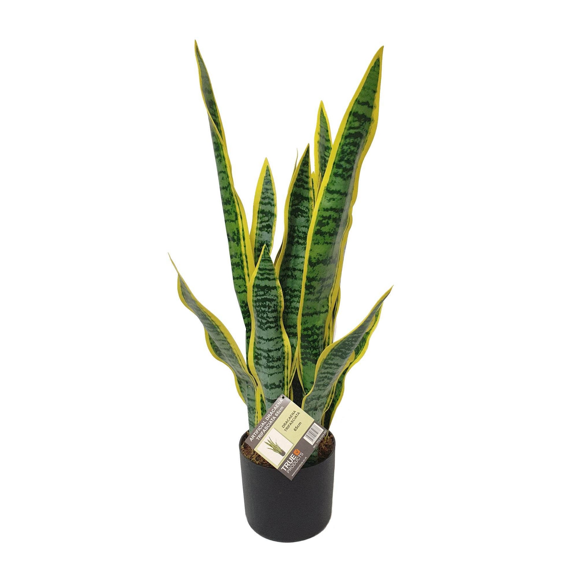 Artificial Dracaena Trifasciata Snake Plant 65cm - Evergreenery