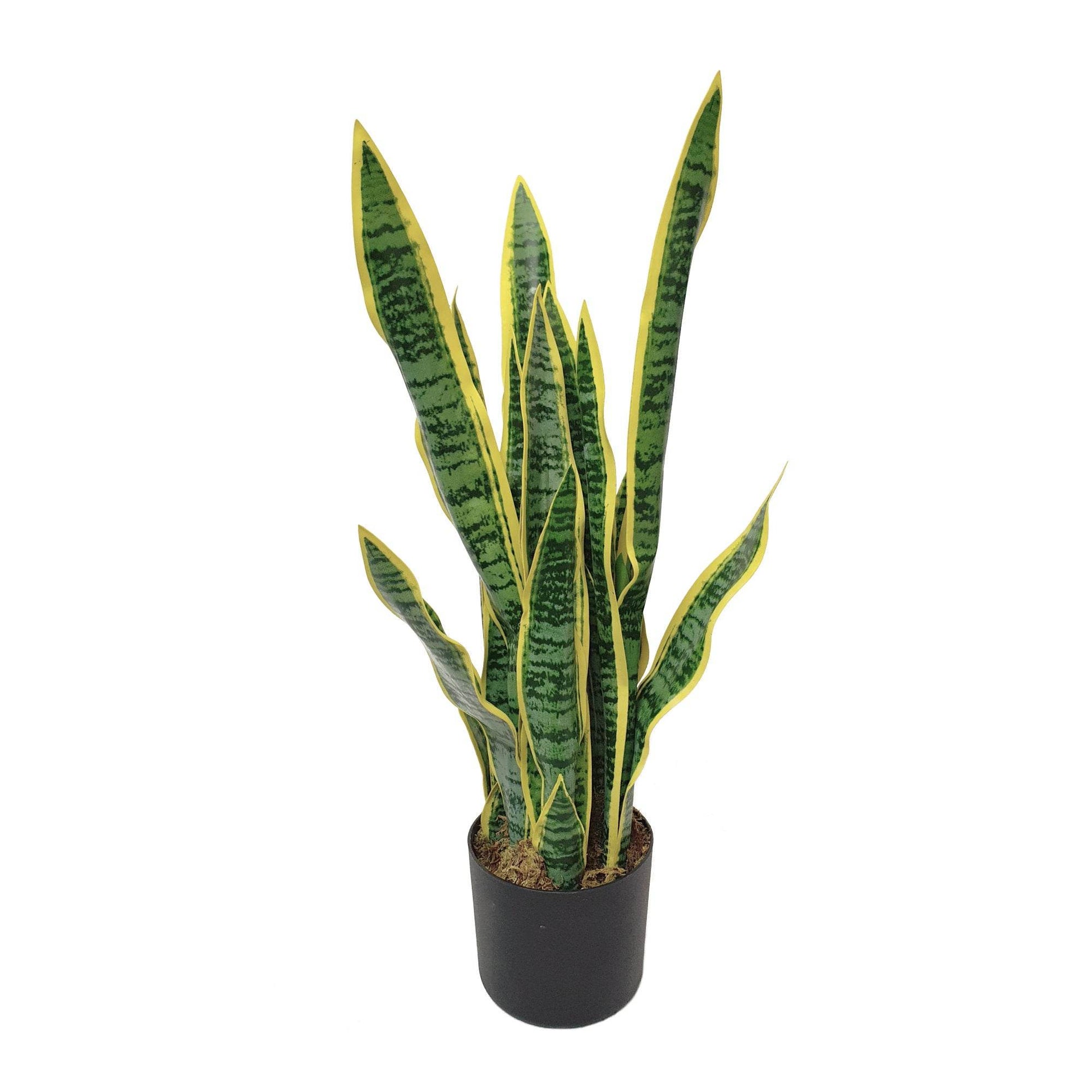Artificial Dracaena Trifasciata Snake Plant 65cm - Evergreenery