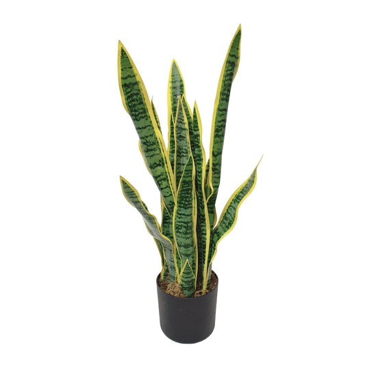 Artificial Dracaena Trifasciata Snake Plant 65cm - Evergreenery