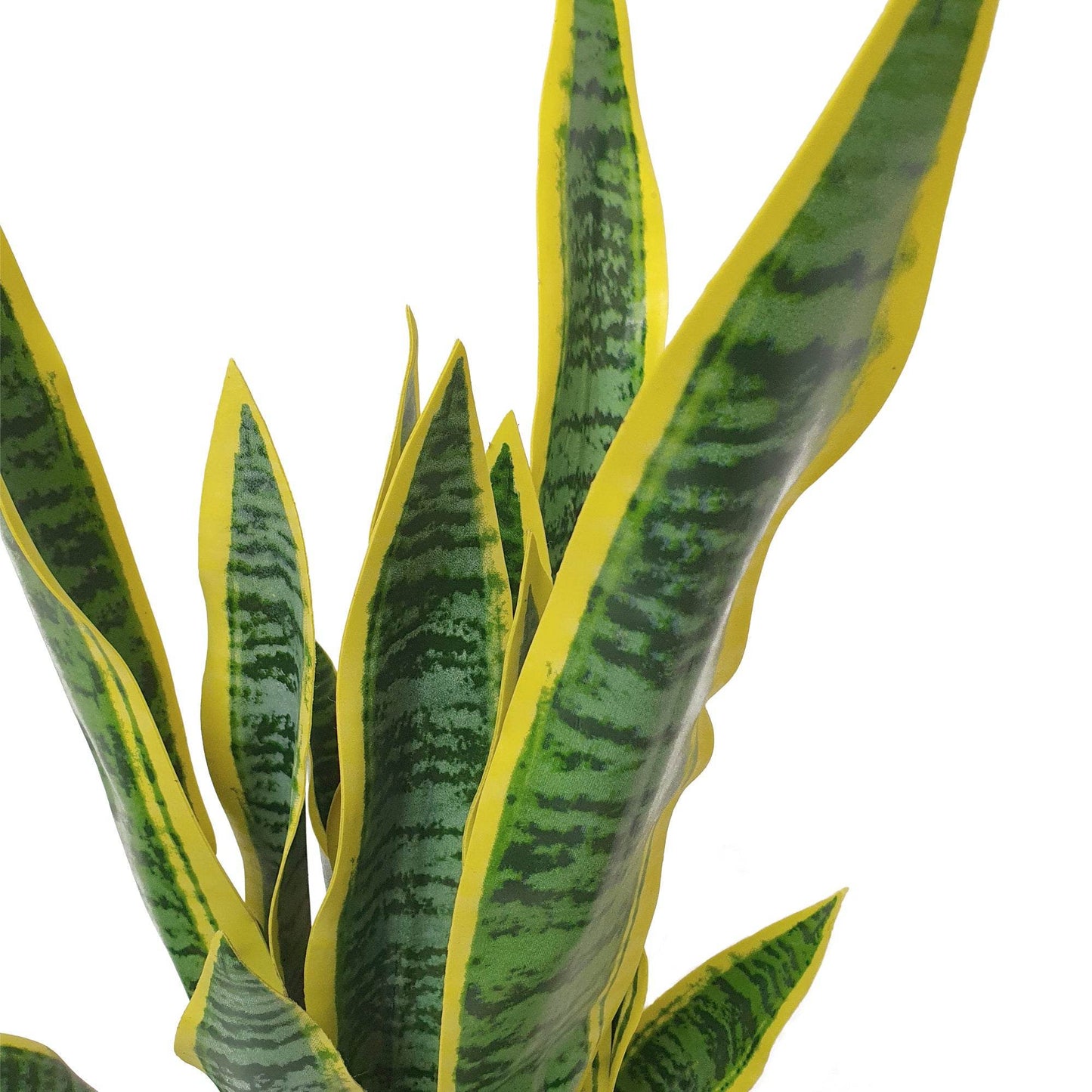 Artificial Dracaena Trifasciata Snake Plant 65cm - Evergreenery