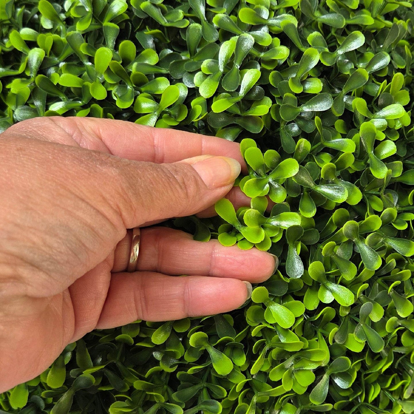Artificial Pittosporum Topiary Ball - 35cm - Evergreenery