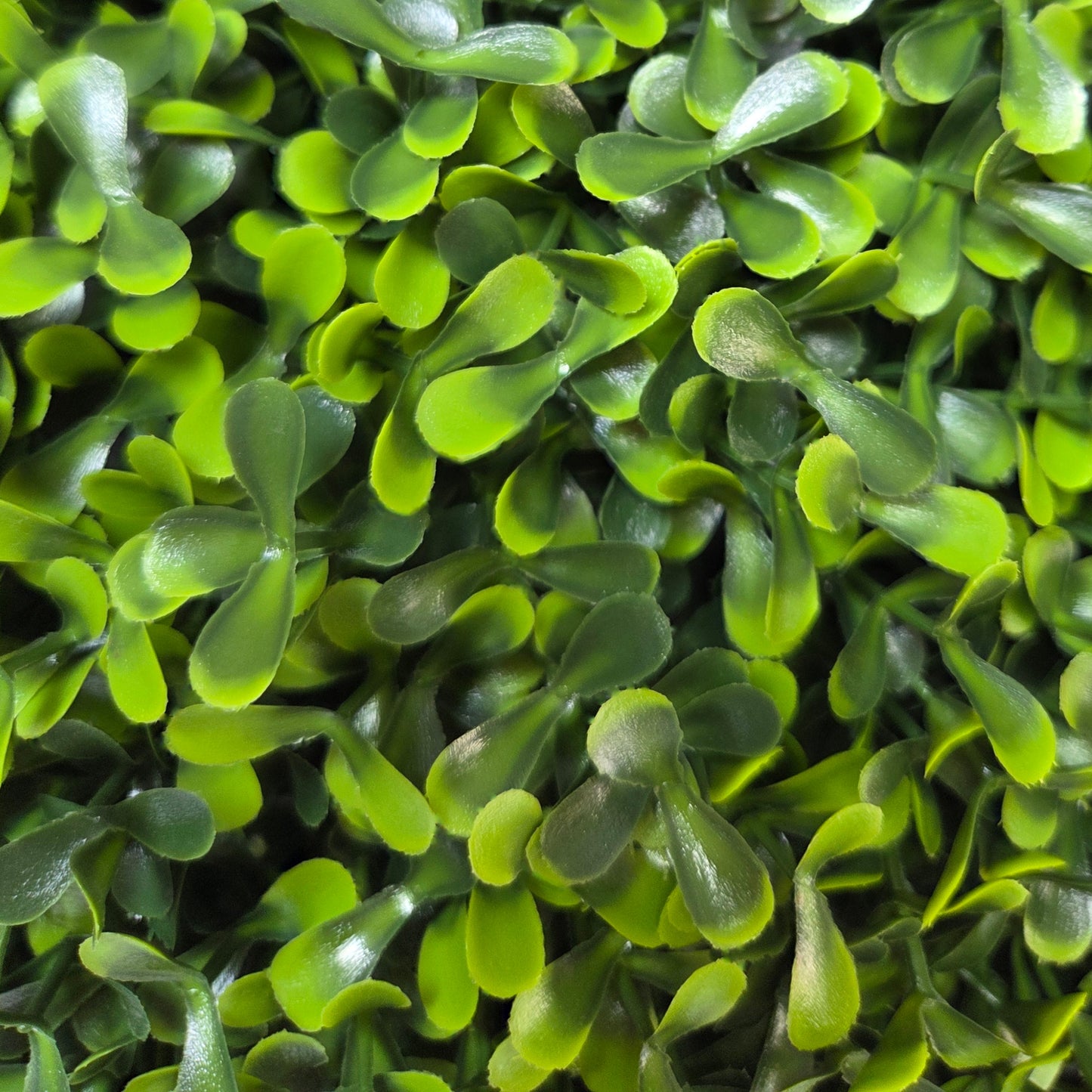 Artificial Pittosporum Topiary Ball - 35cm
