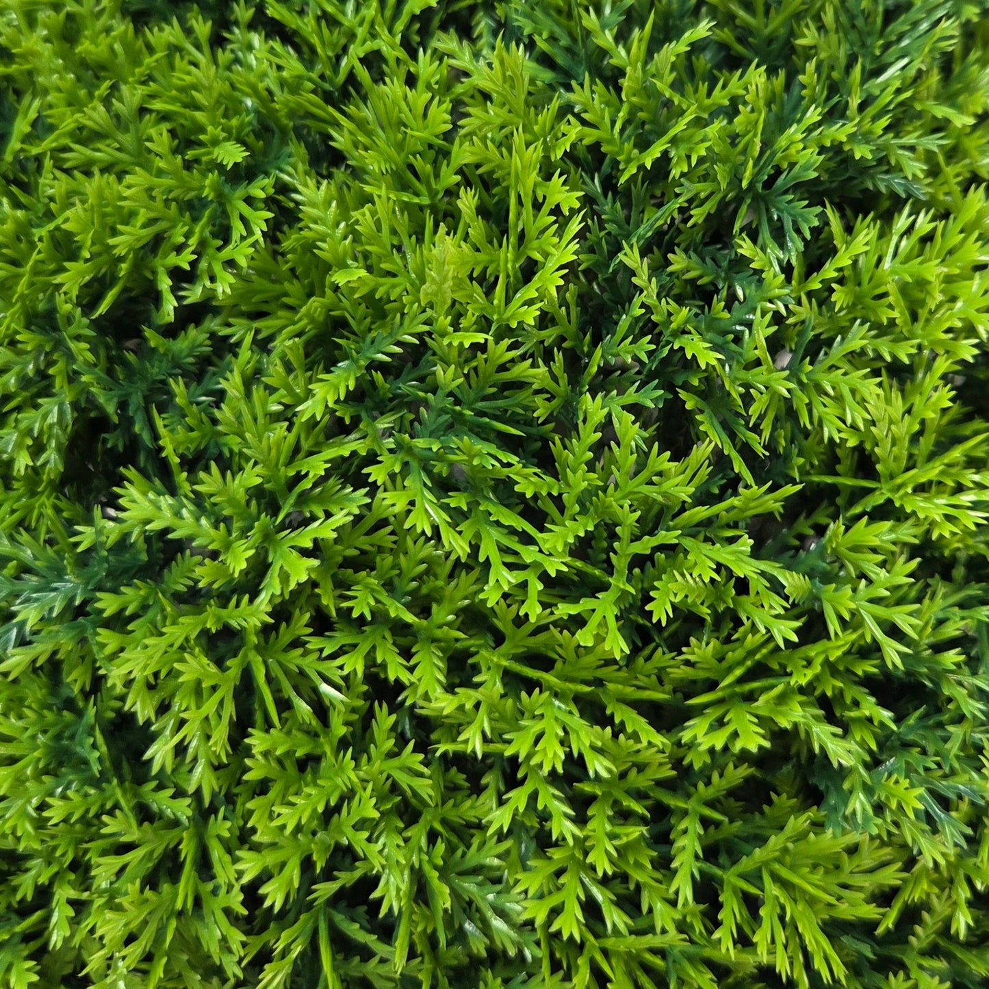 Artificial Cyprus Topiary Ball - 30cm