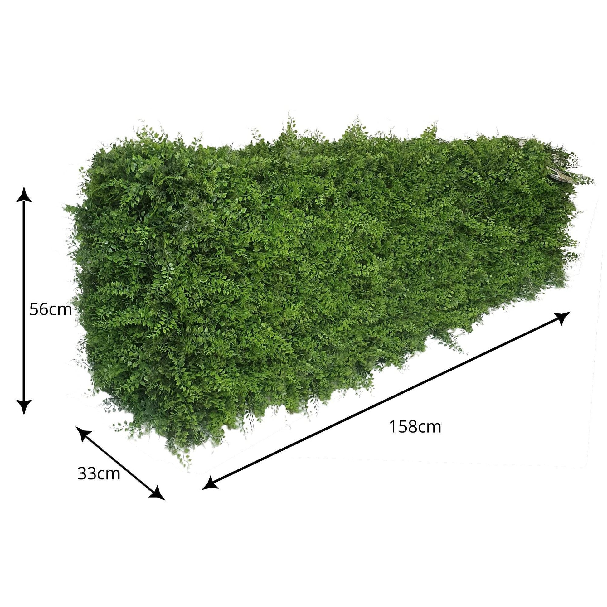 Premium Freestanding Artificial Fern Hedge - 56cm x 158cm - Evergreenery