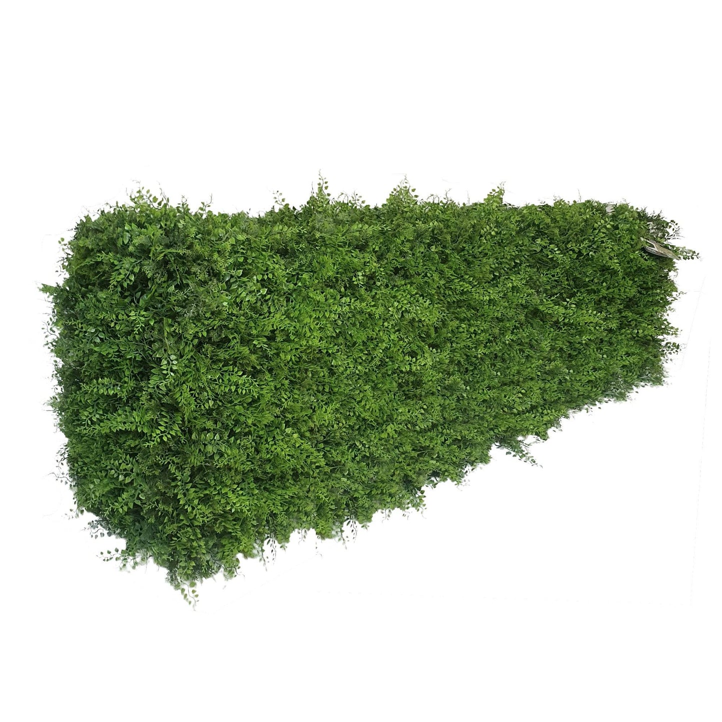 Premium Freestanding Artificial Fern Hedge - 56cm x 158cm - Evergreenery