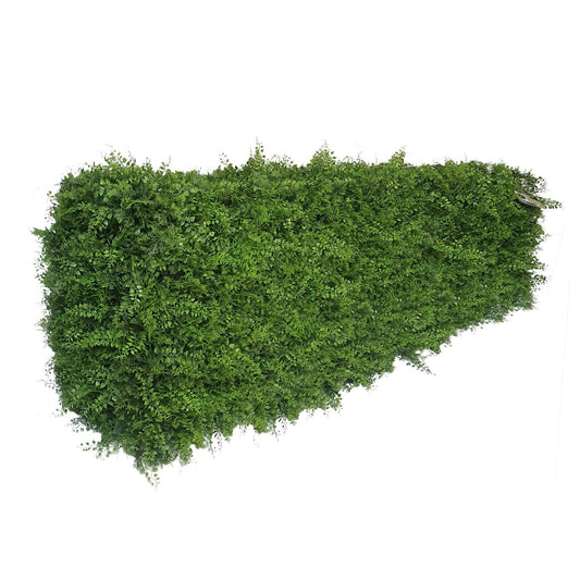 Premium Freestanding Artificial Fern Hedge - 56cm x 158cm - Evergreenery