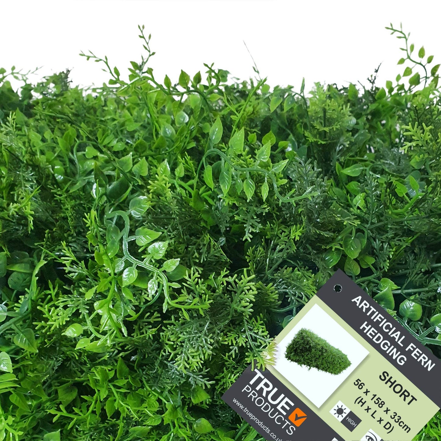 Premium Freestanding Artificial Fern Hedge - 56cm x 158cm - Evergreenery
