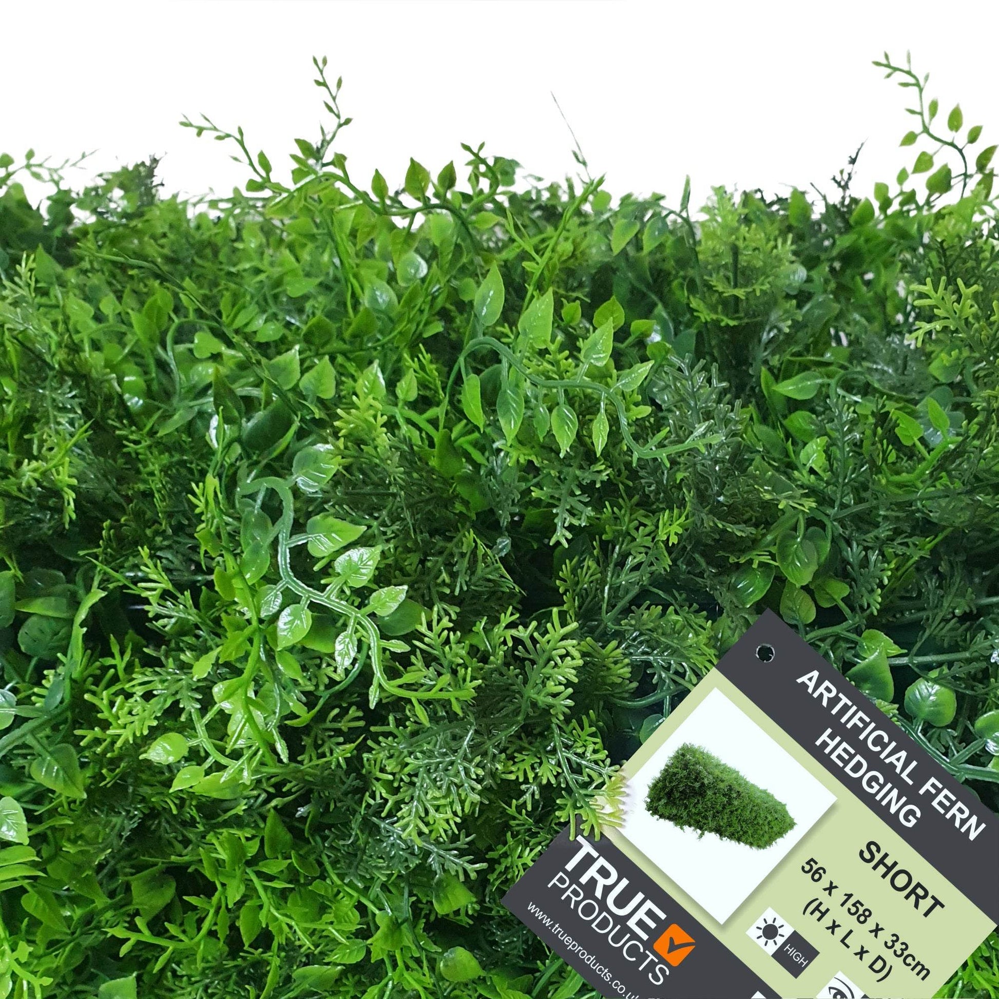 Premium Freestanding Artificial Fern Hedge - 56cm x 158cm - Evergreenery