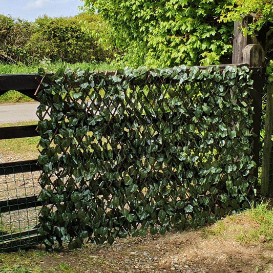 Expanding Willow Trellis Artificial Maple Leaf - 1m x 2m - Evergreenery