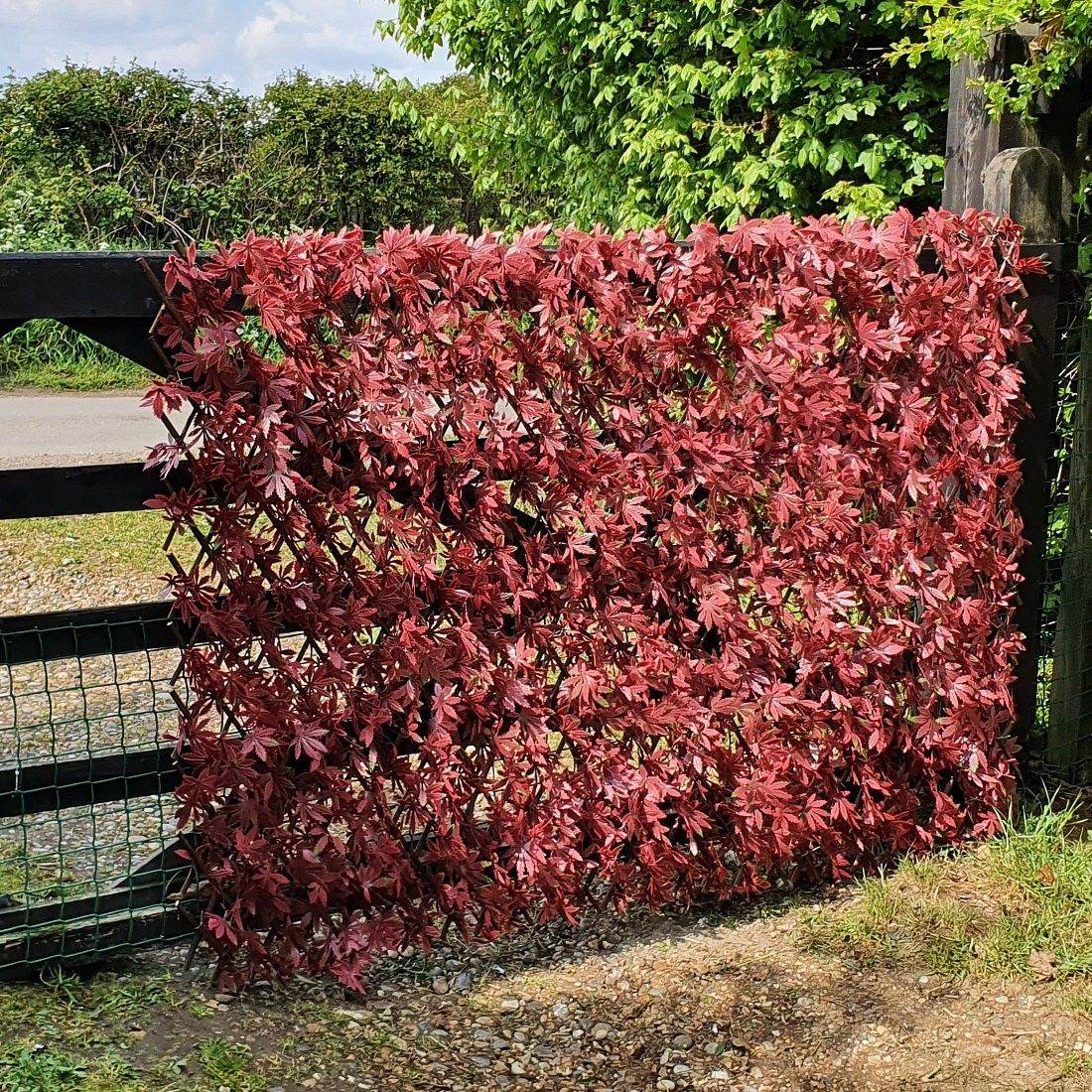 Premium Expanding Willow Trellis Artificial Red Acer - 1m x 2m - Evergreenery