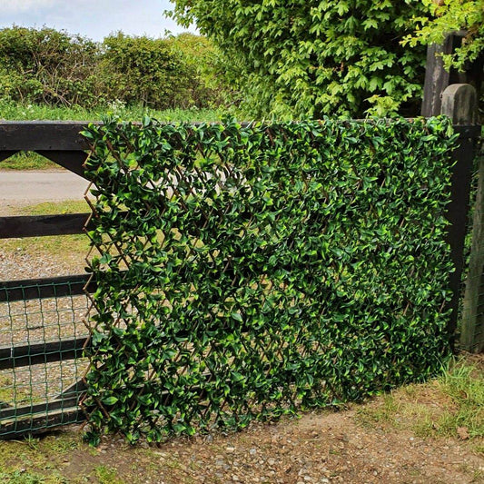 Premium Expanding Willow Trellis Artificial Laurel - 1m x 2m - Evergreenery