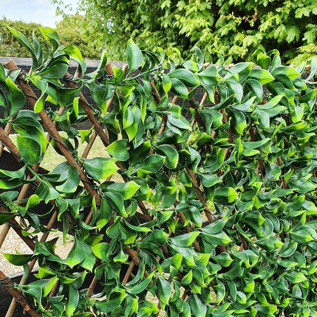 Premium Expanding Willow Trellis Artificial Laurel - 1m x 2m - Evergreenery