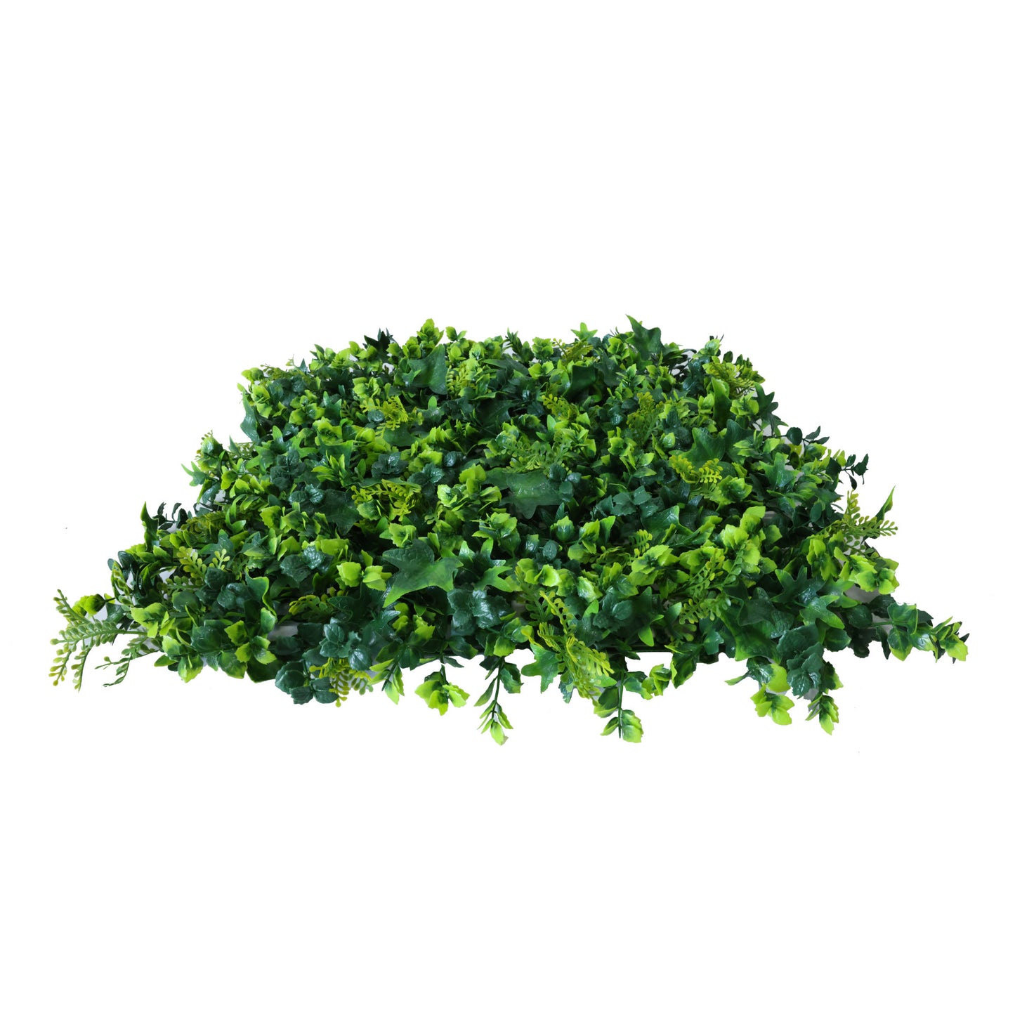 Premium Ivy Artificial Green Wall Panel 50cm x 50cm