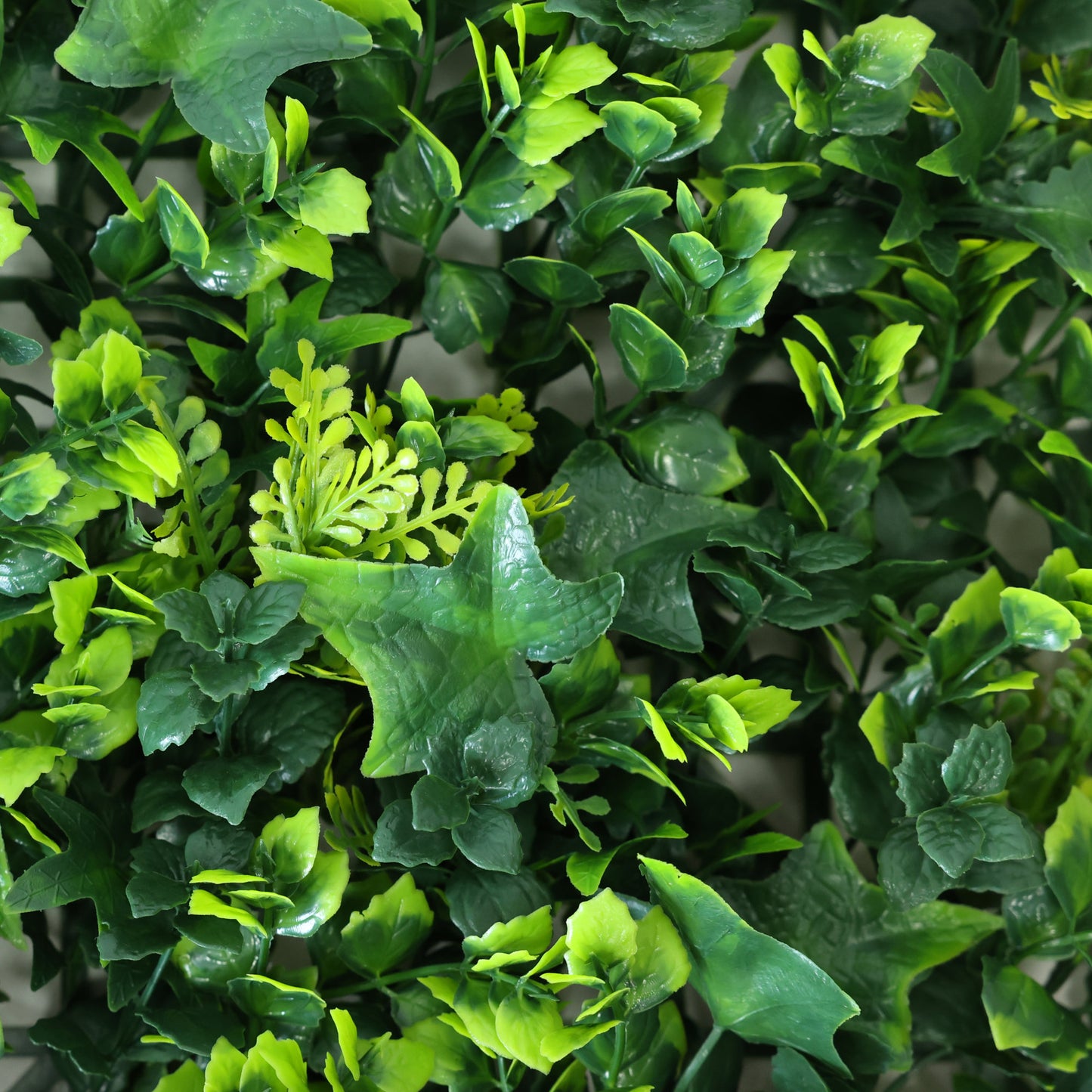 Premium Ivy Artificial Green Wall Panel 50cm x 50cm Close Up
