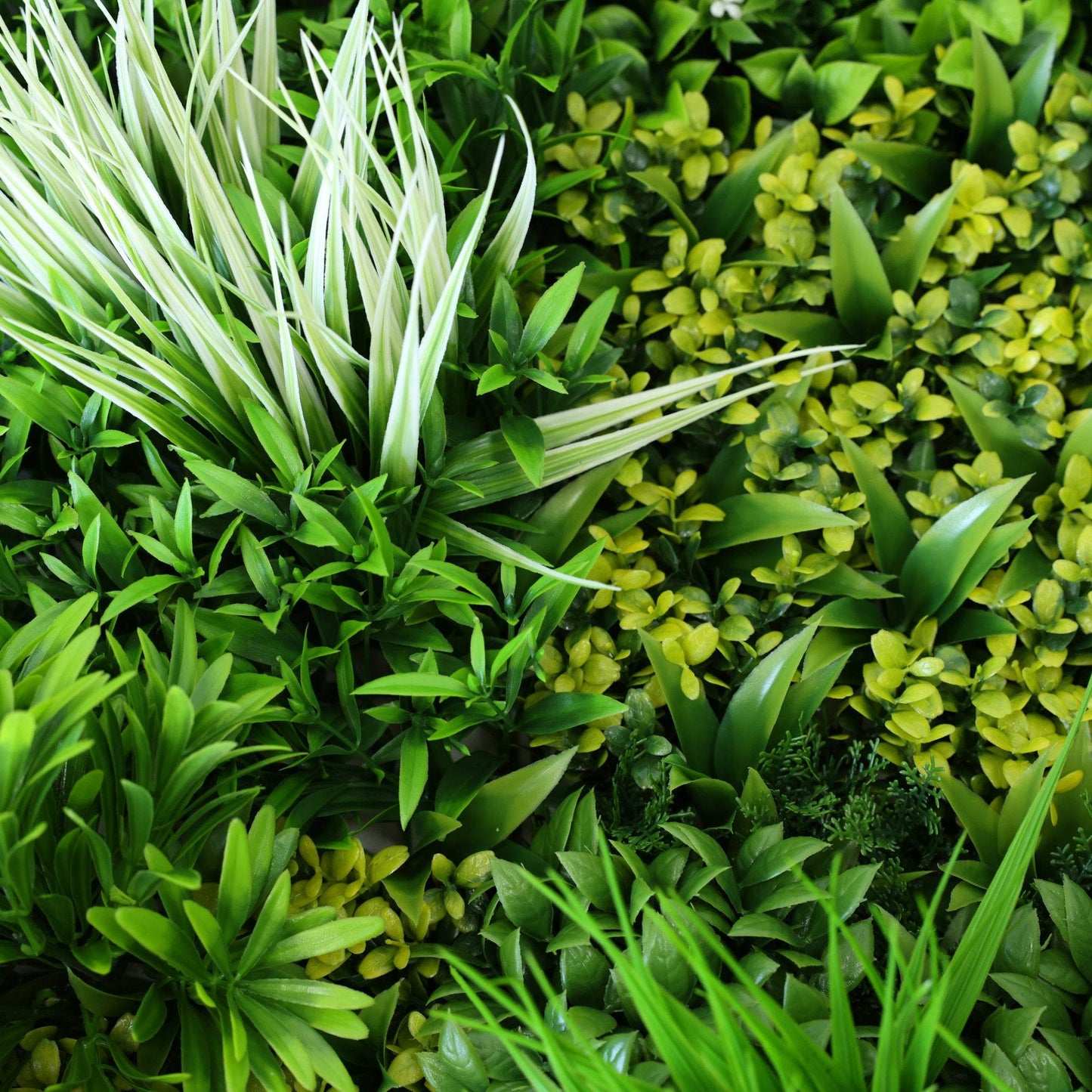 Premium Artificial Green Wall Panel 1m x 1m - Spring - Evergreenery