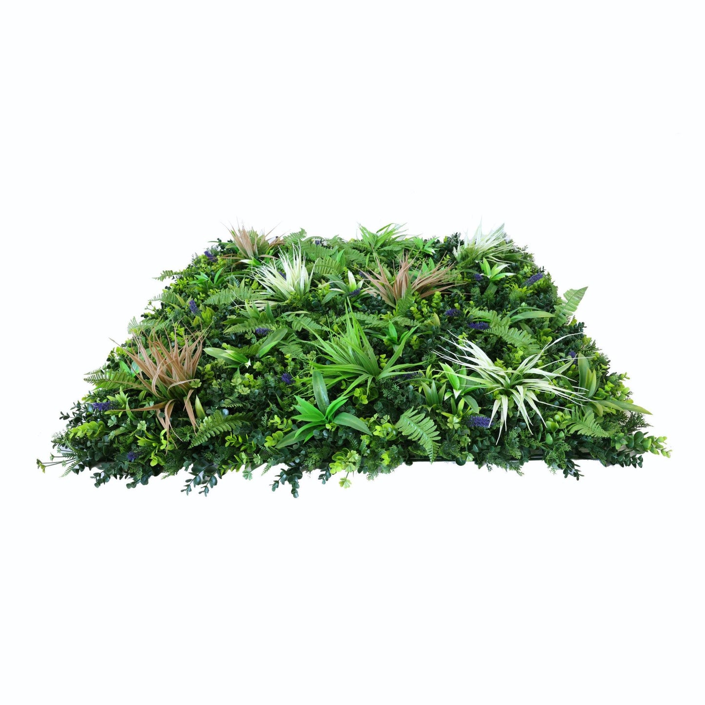 Premium Artificial Green Wall Panel 1m x 1m - Grassy Fern - Evergreenery