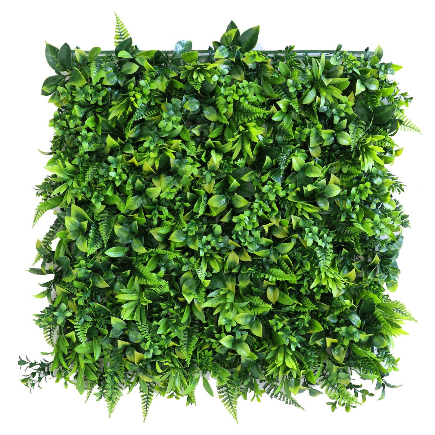 Premium Artificial Green Wall Panel 50 x 50cm - Green Fern - Evergreenery