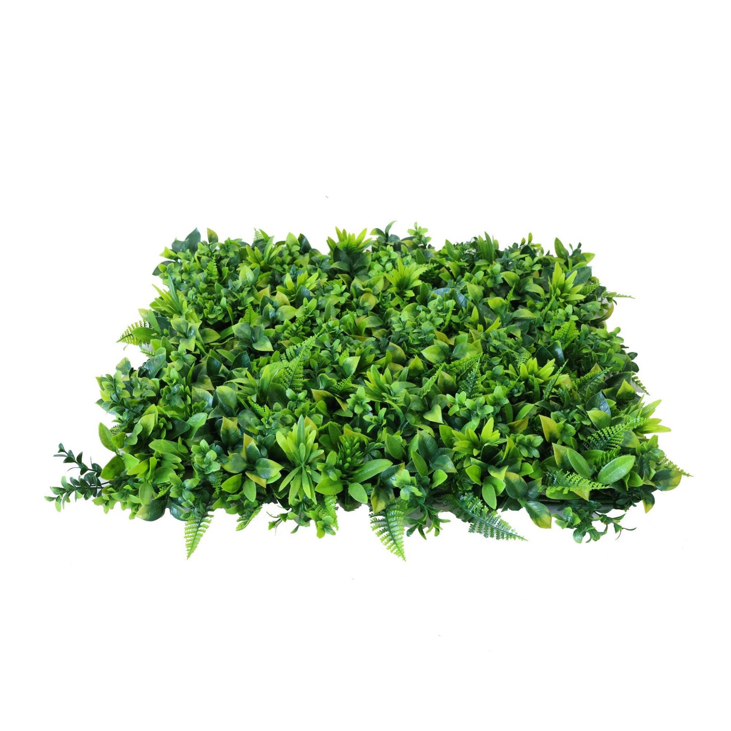 Premium Artificial Green Wall Panel 50 x 50cm - Green Fern - Evergreenery
